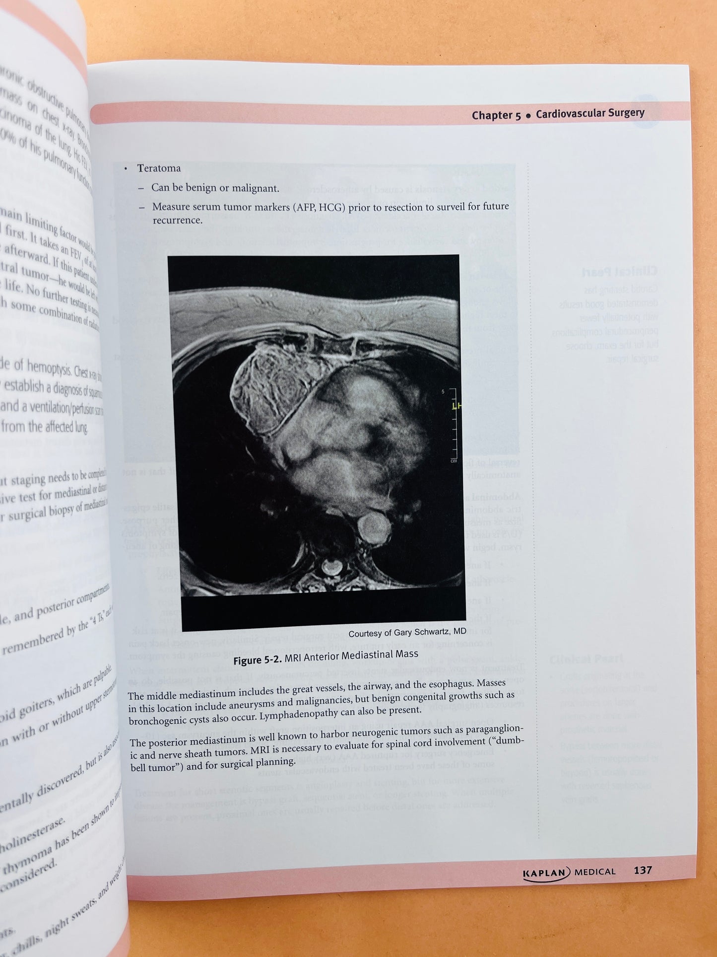 Usmle step 2 CK lectures notes 2021 5 volúmenes