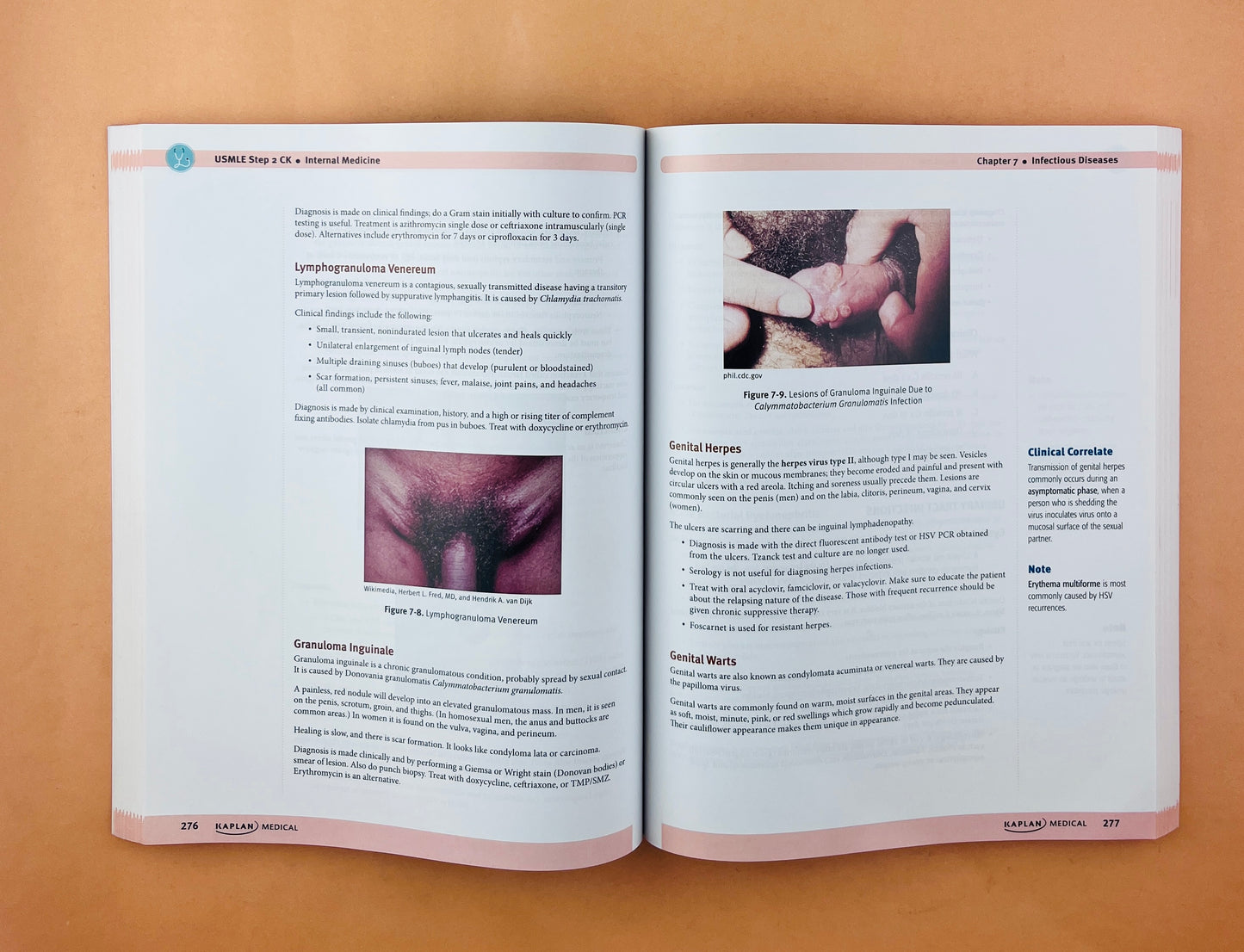 Usmle step 2 CK lectures notes 2021 5 volúmenes