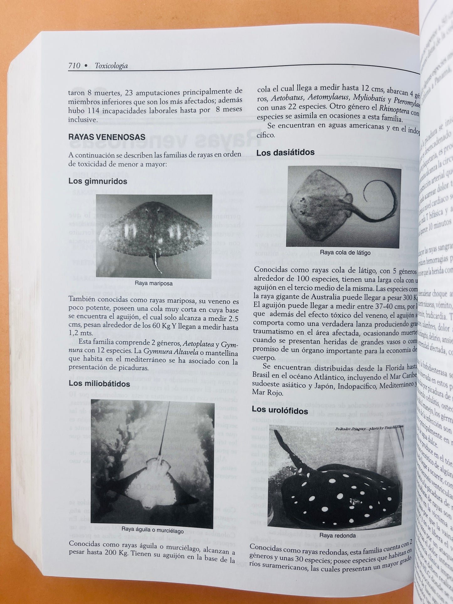 Toxicología quinta edición