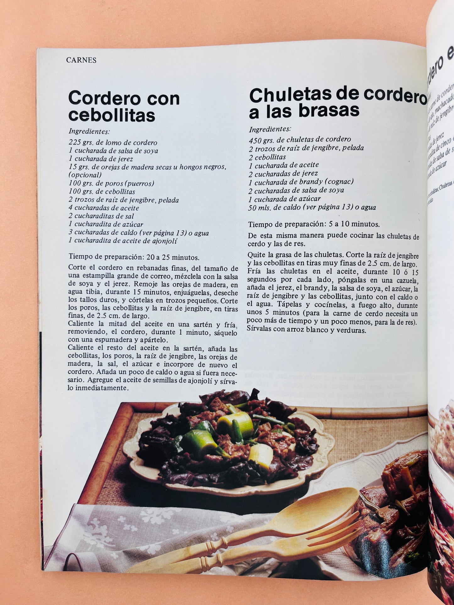 El artista de la cocina cocina china