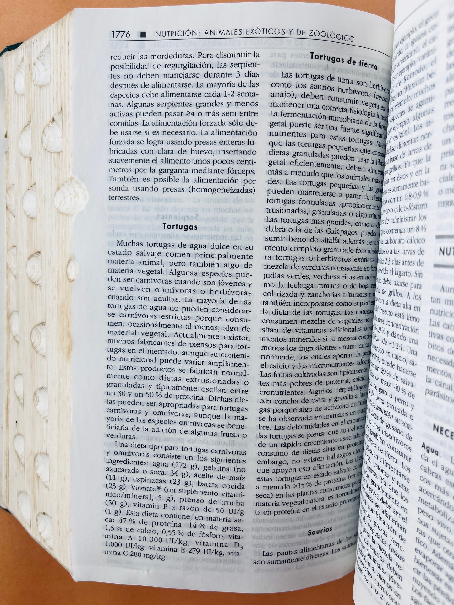 El manual merck de veterinaria quinta edición