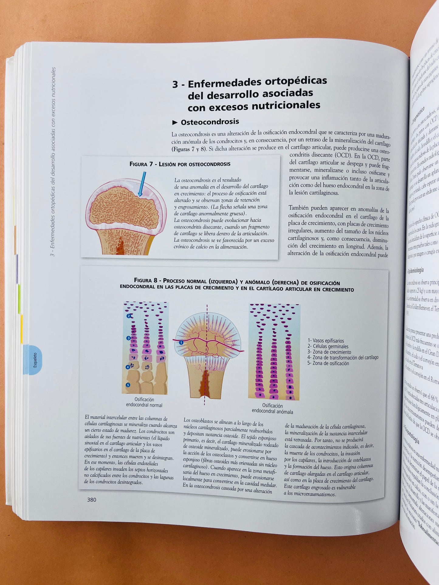 Enciclopedia de la nutrición clínica canina