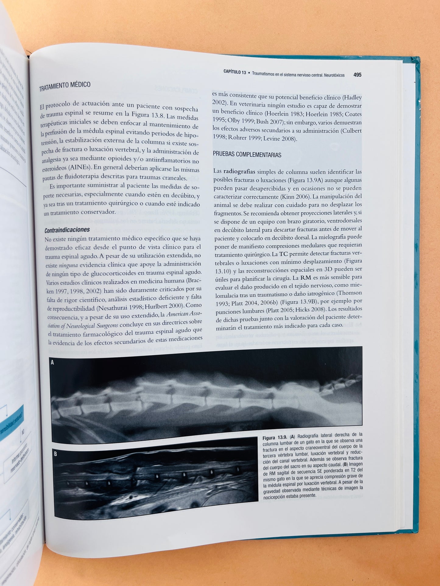 Neurología canina y felina