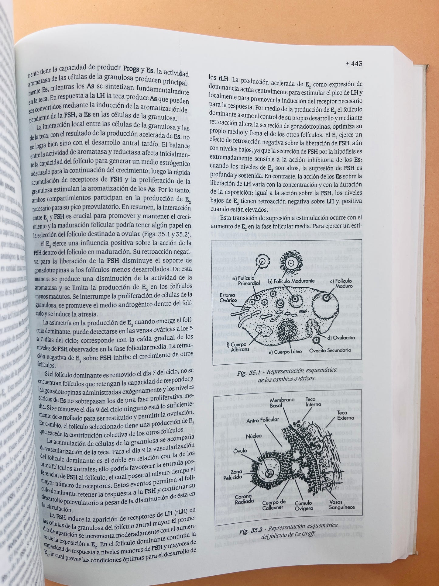 Obstetricia y ginecología texto integrado sexta edición