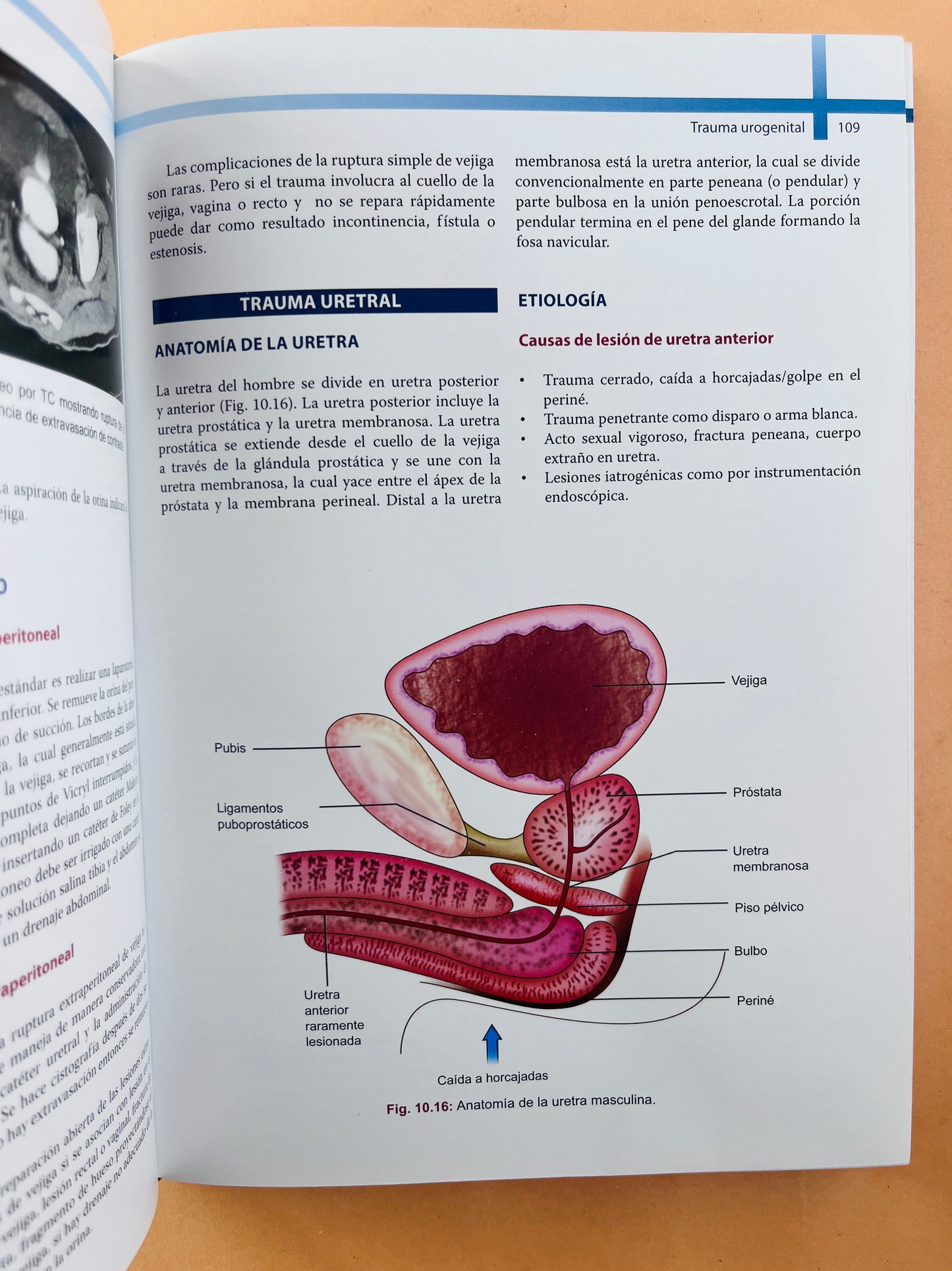 Abordaje en Emergencias Quirúrgicas