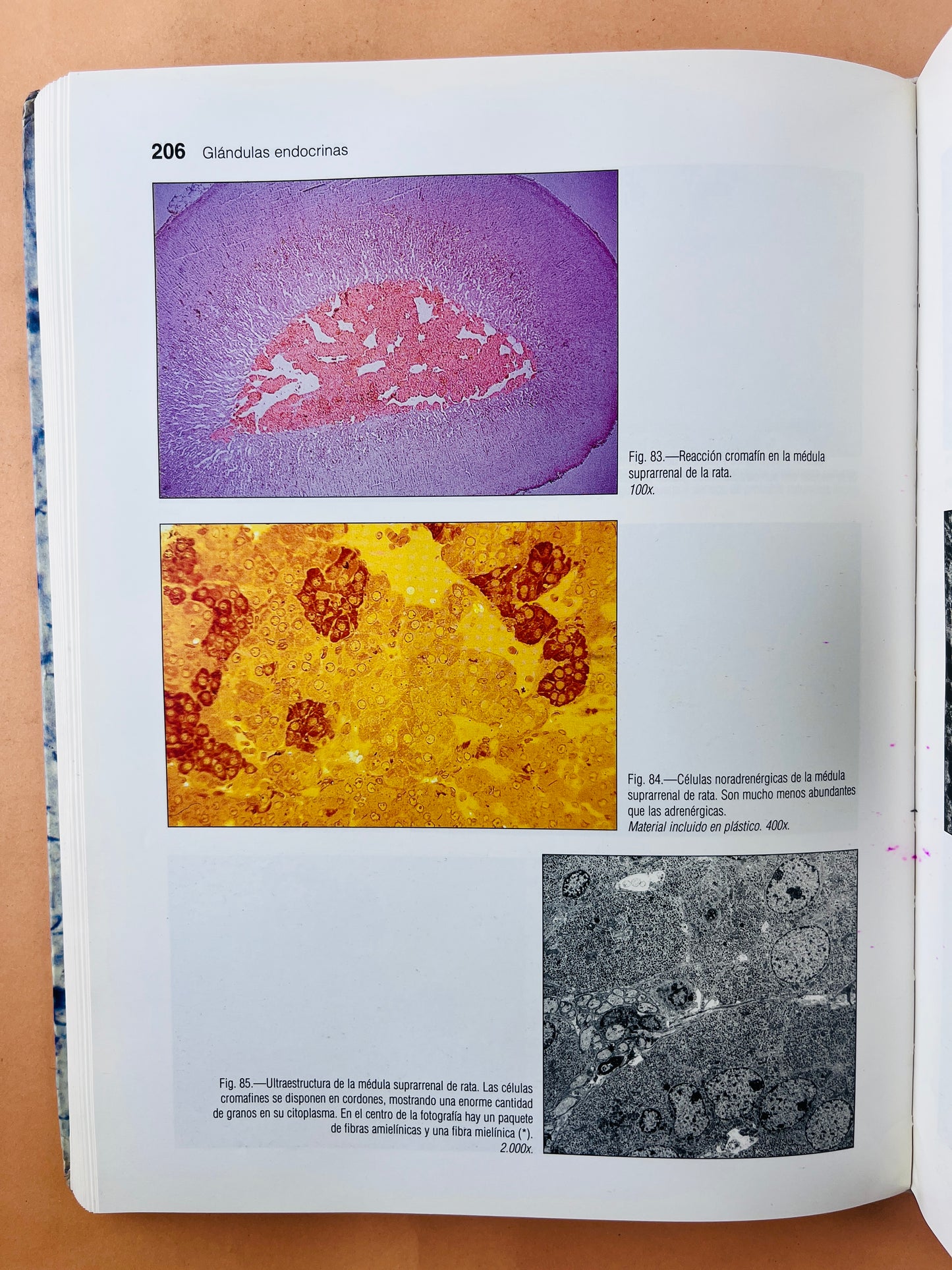 Atlas de Histología y Organografía Microssópica