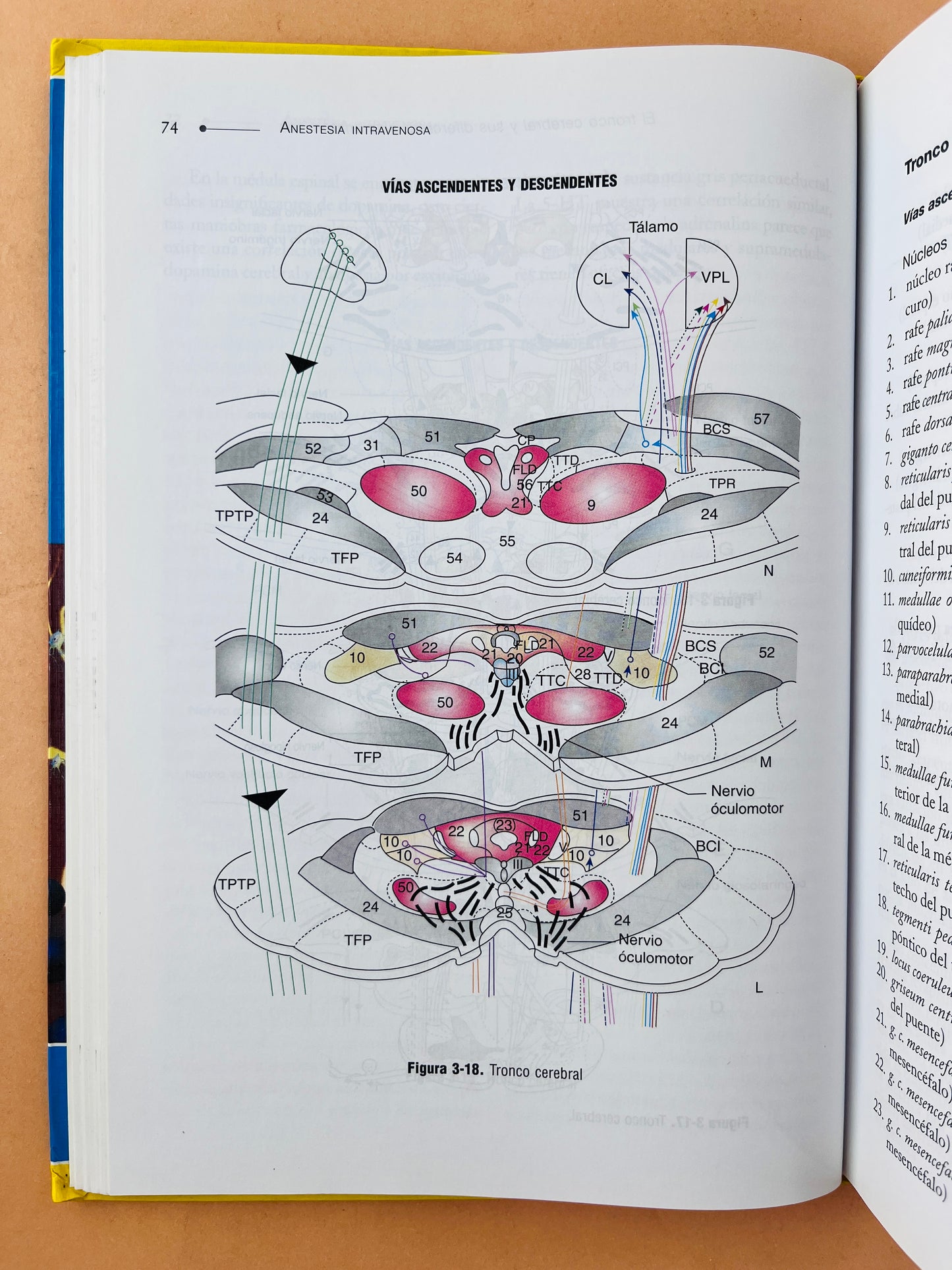 Anestesia intravenosa