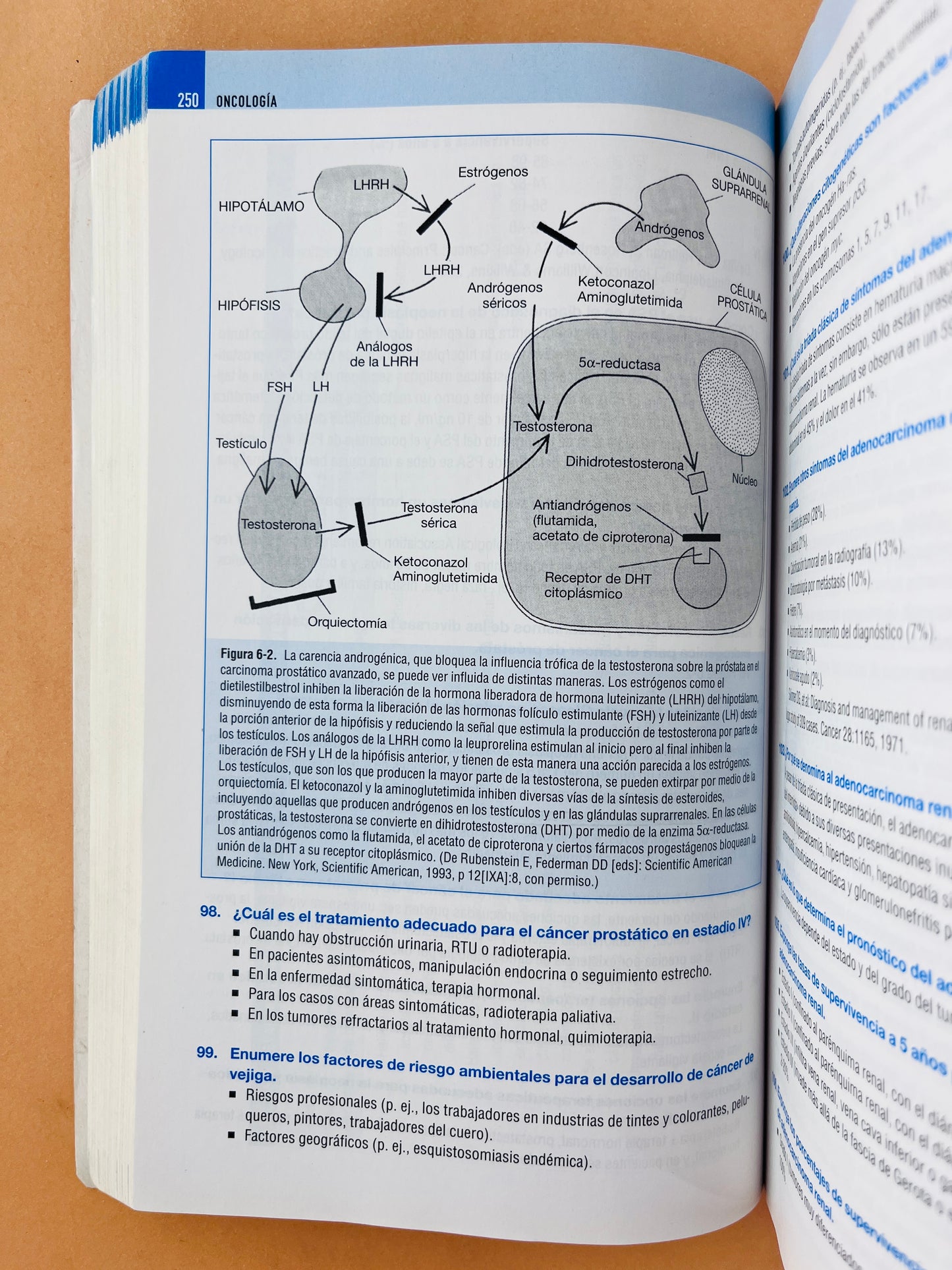 Medicina interna secretos cuarta edición