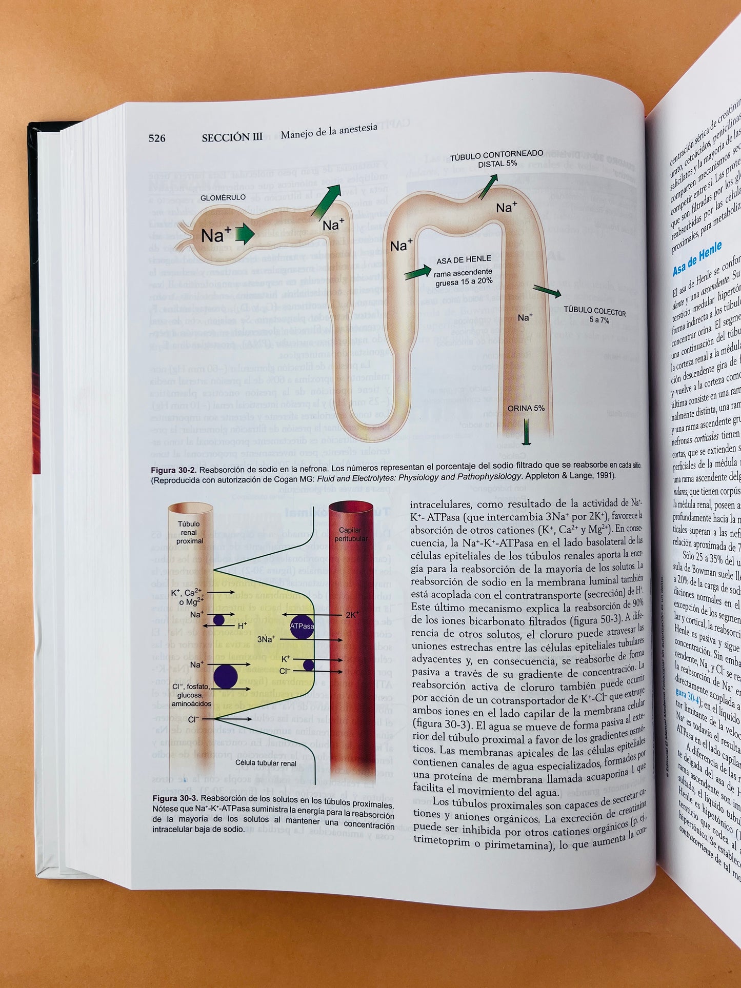 Anestesiología de Morgan y Mikhail sexta edición