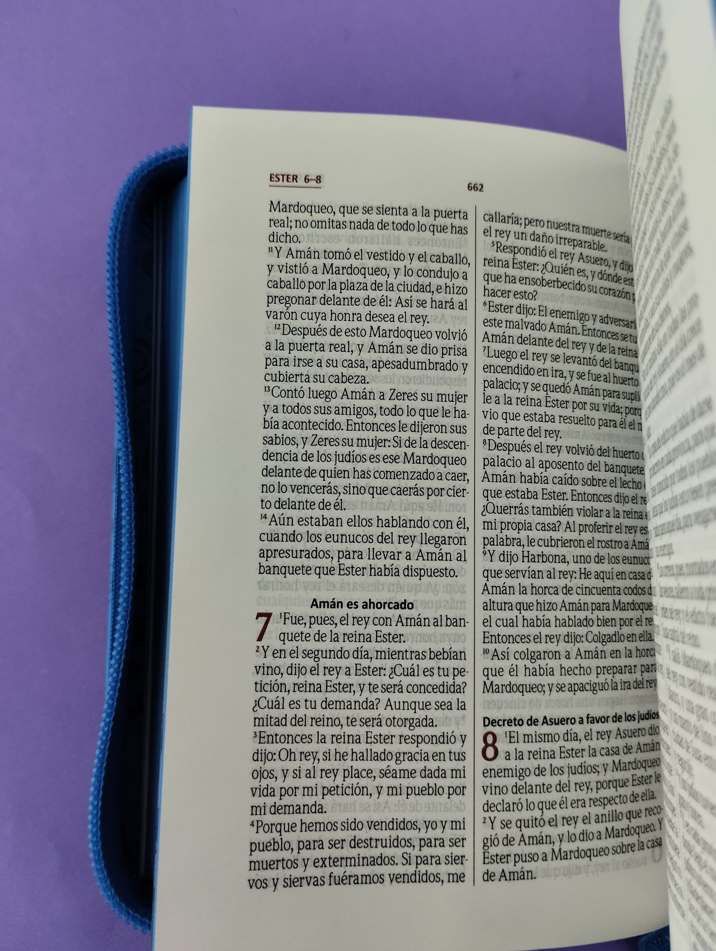 Biblia amigos por siempre azul con estuche