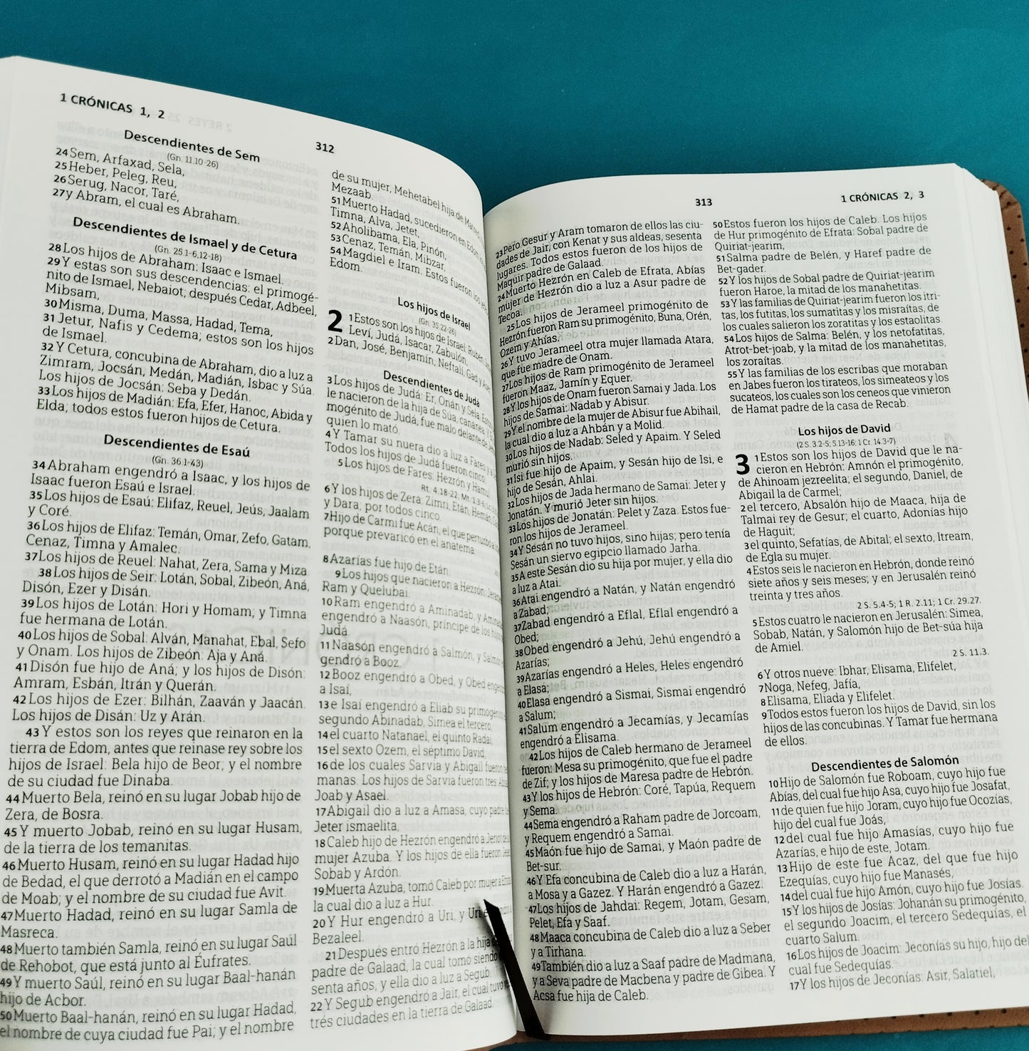Biblia rvr 1960 tipo agenda caramelo by Reina Valera 1960