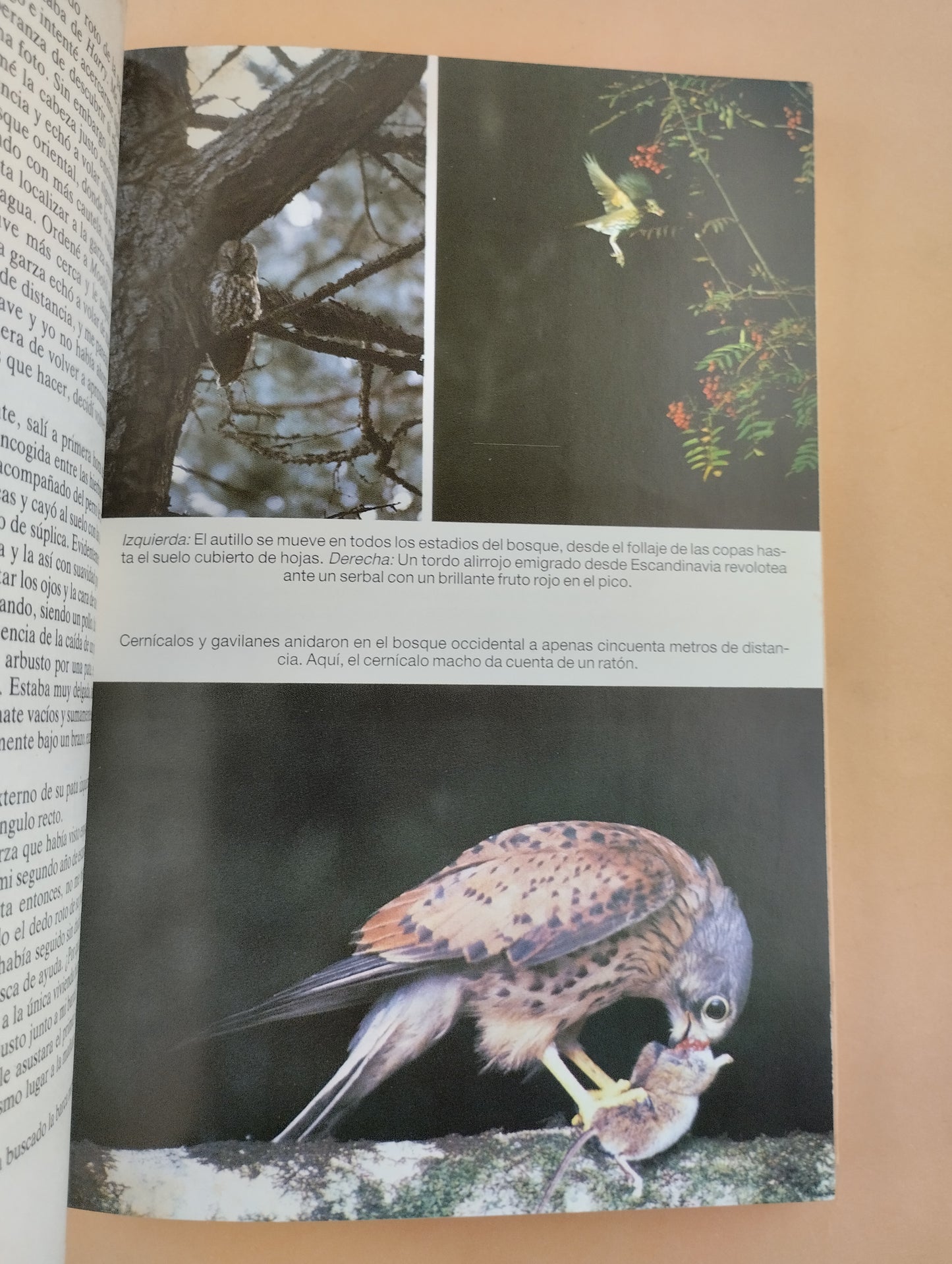 El ultimo lugar salvaje