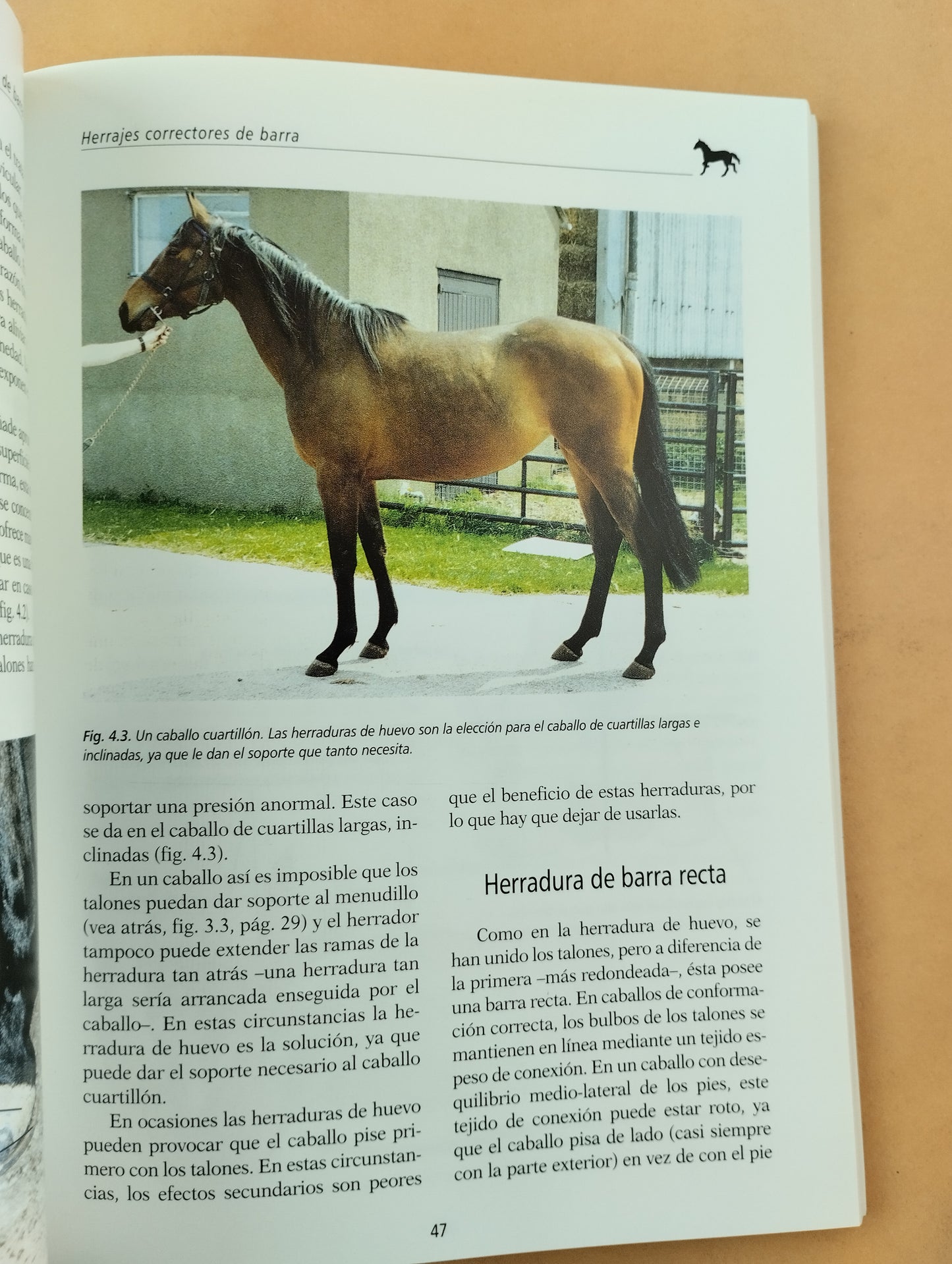 Sin pie no hay caballo