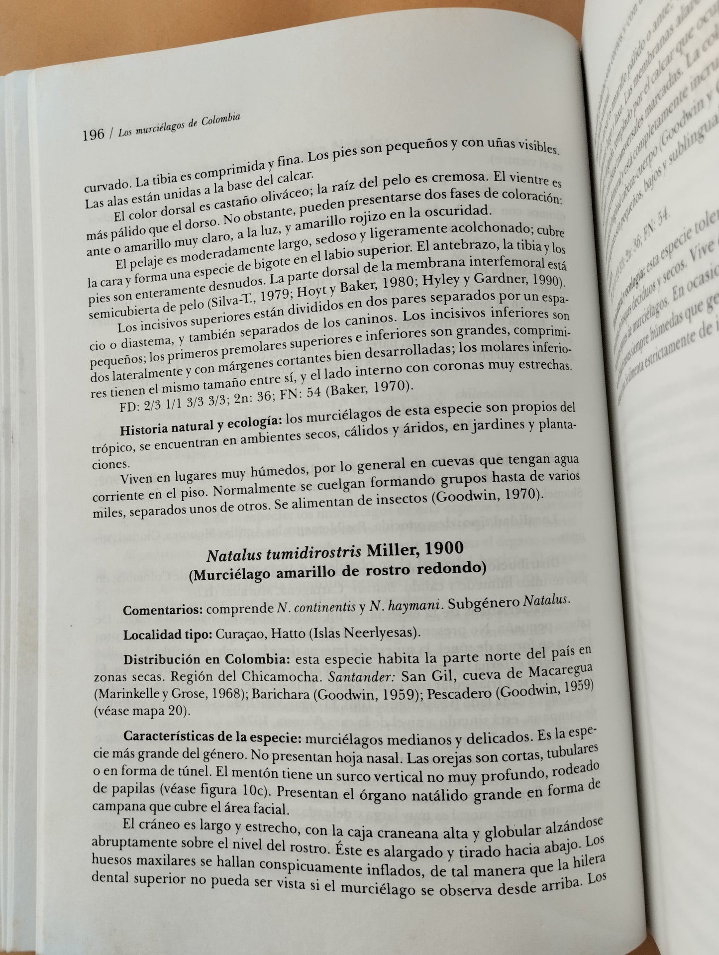 Los murciélagos de Colombia