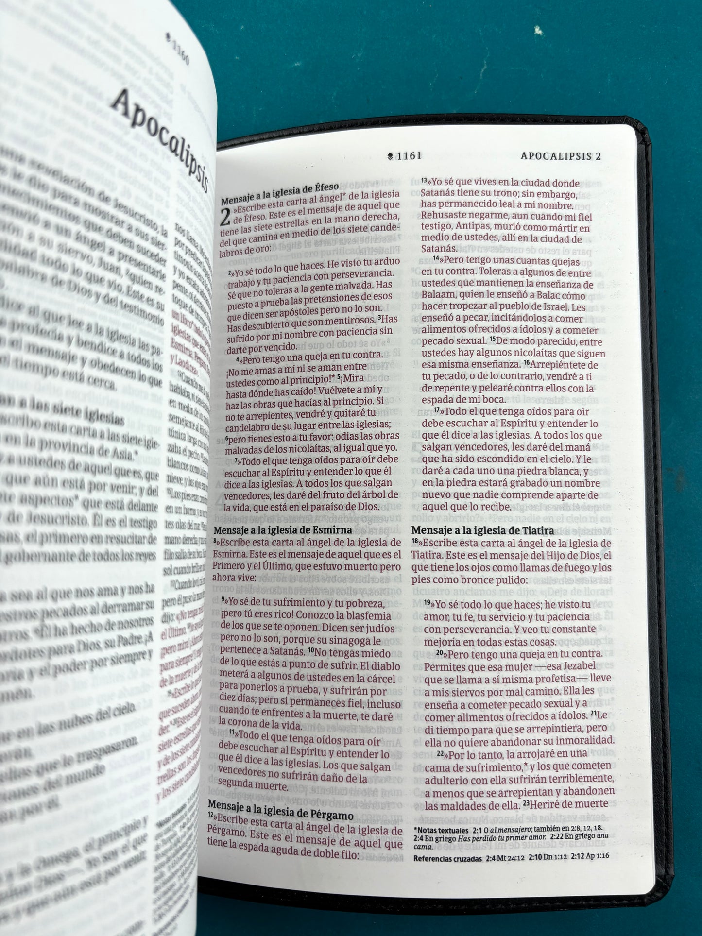 Biblia NTV Filament negro borde plateado