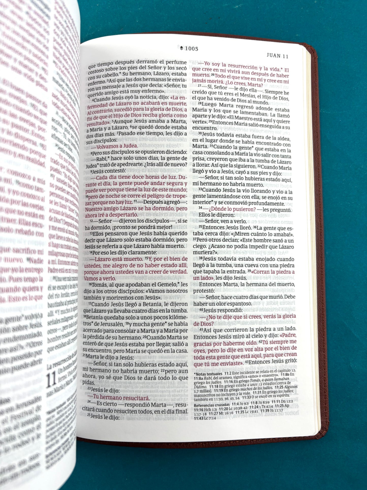 Biblia NTV Filament café canto dorado