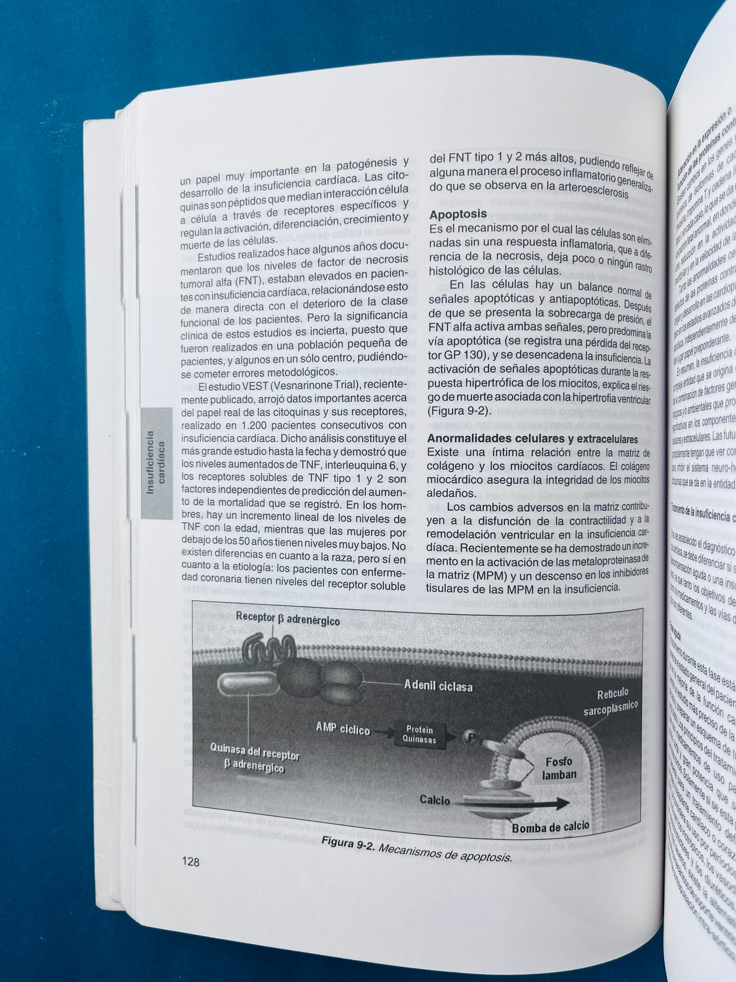 Fundametos de medicina Cardiología sexta edición