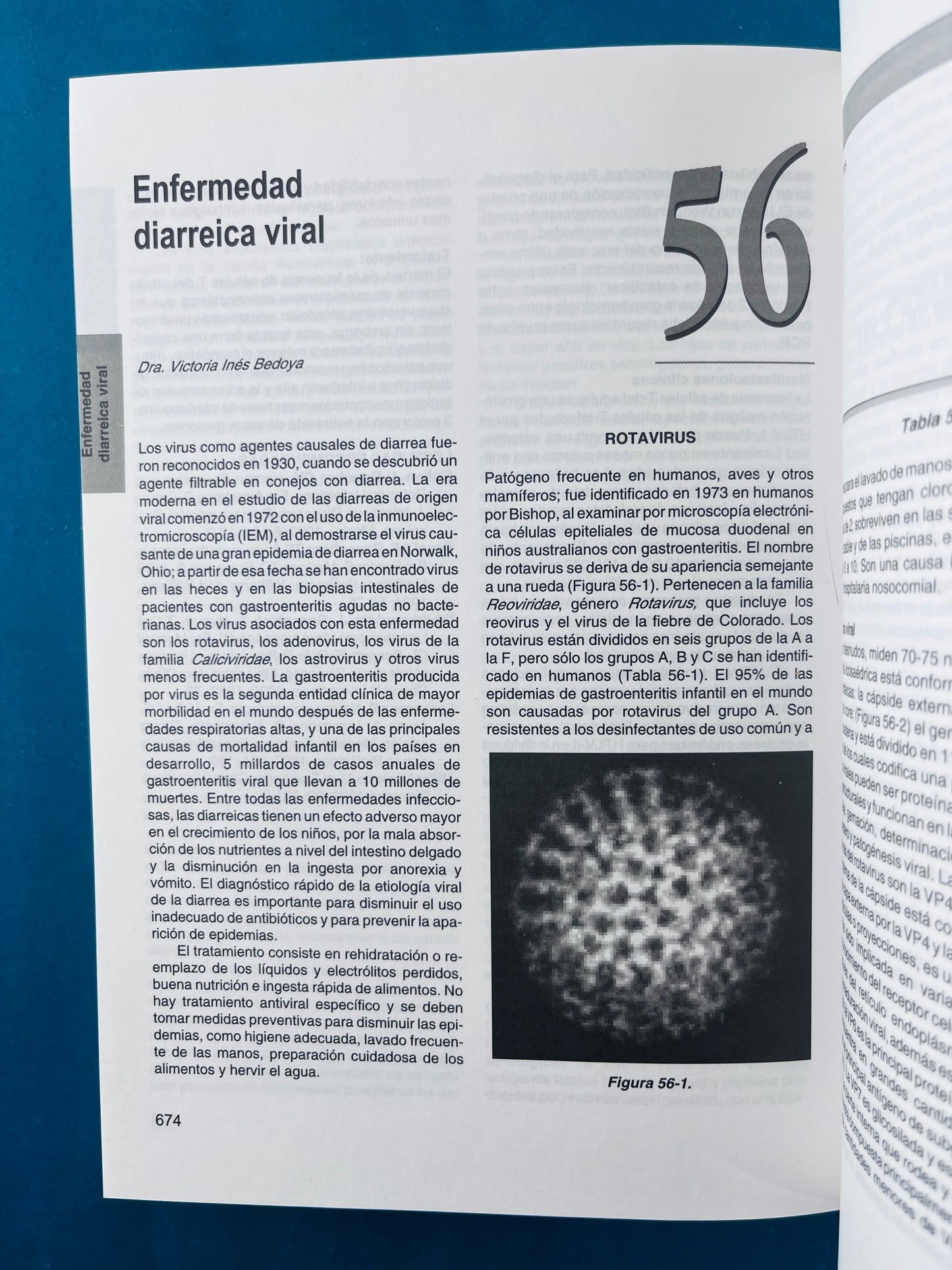 Fundamentos de medicina enfermedades infecciosas sexta edición