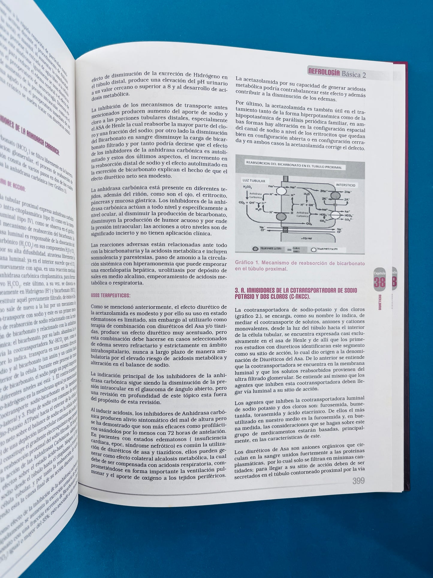 Nefrología básica 2