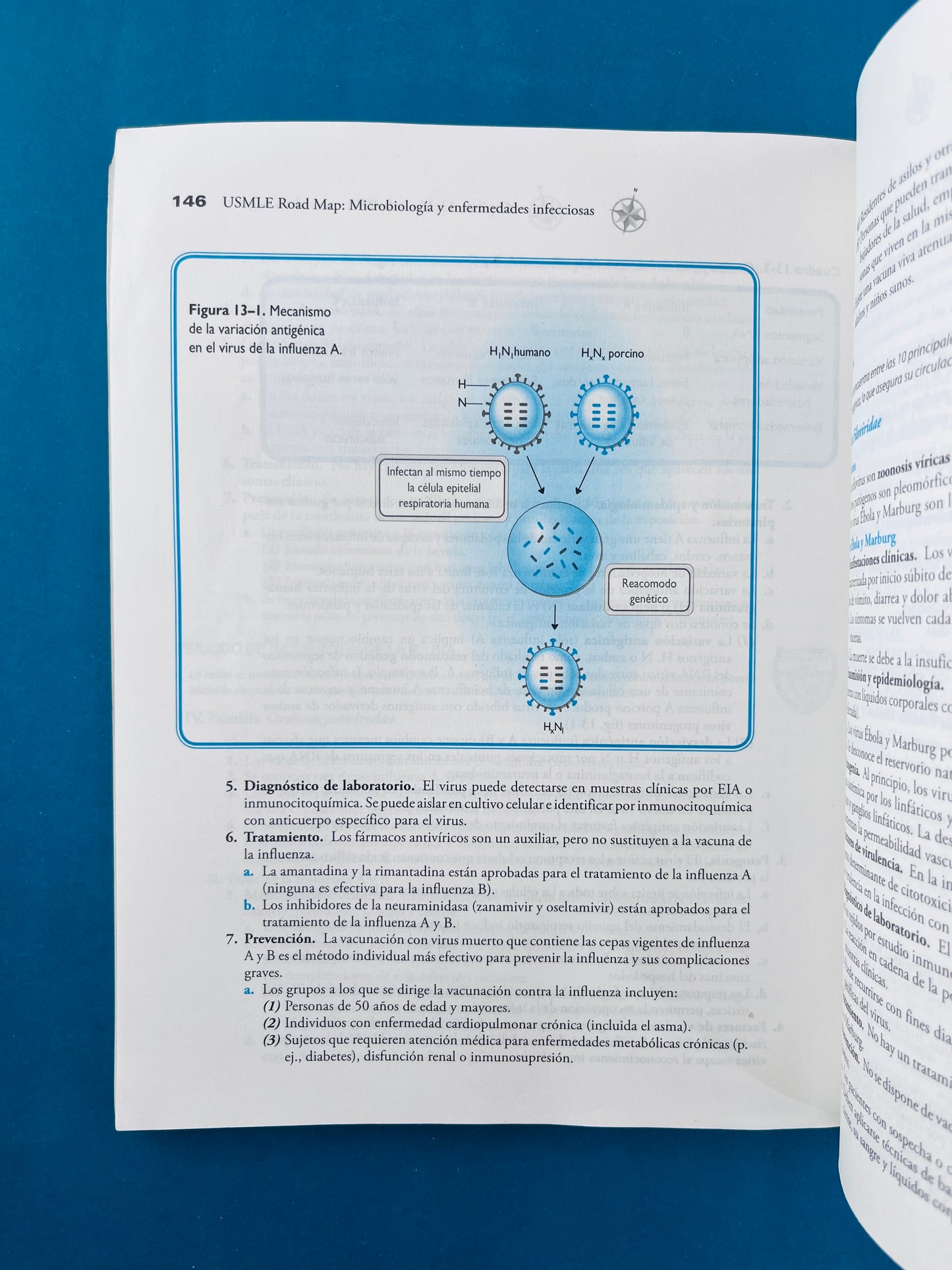 Usmle road map microbiologpia y enfermedades infecciosas
