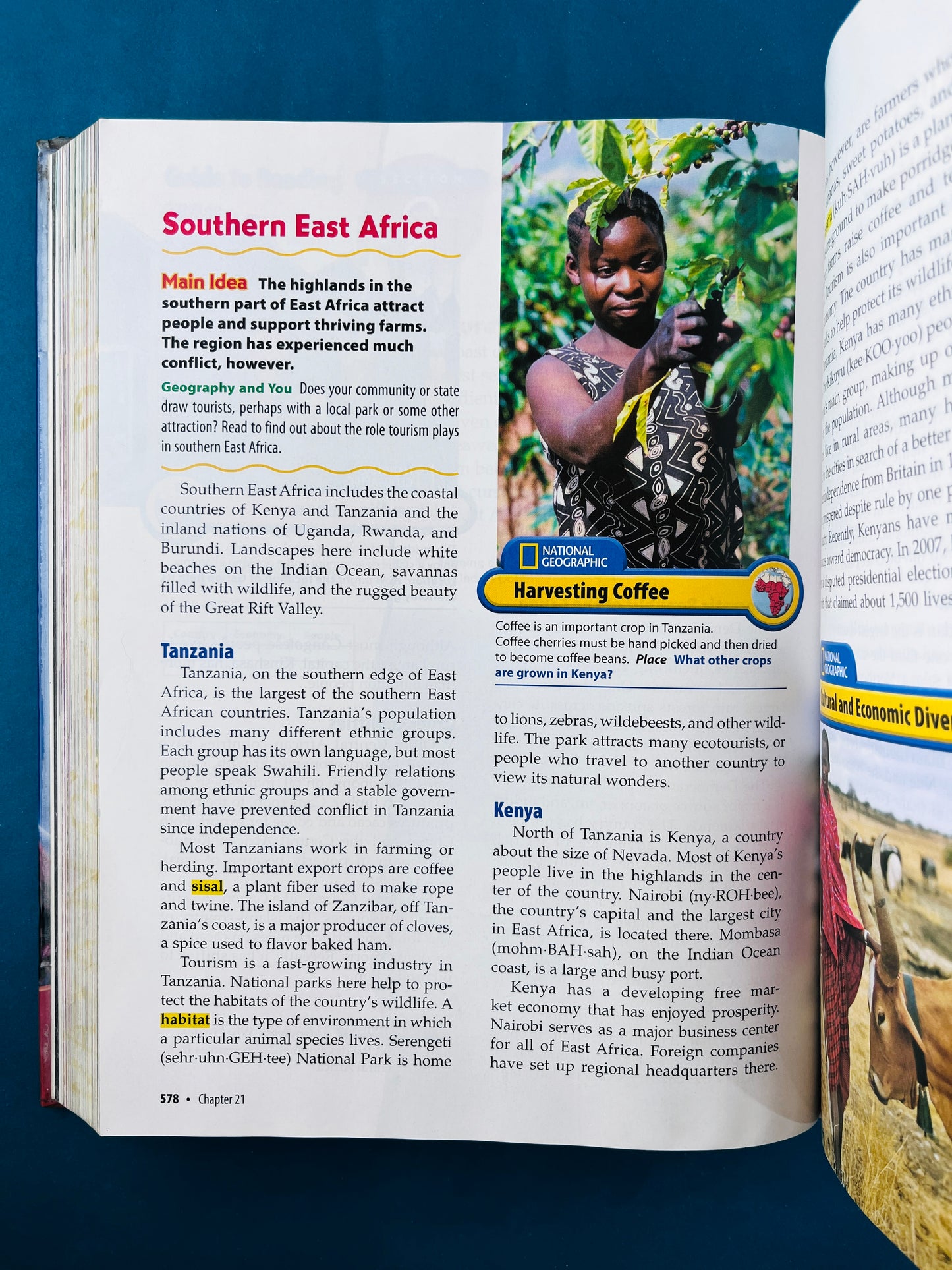 Glencoe exploring our world people places and cultures