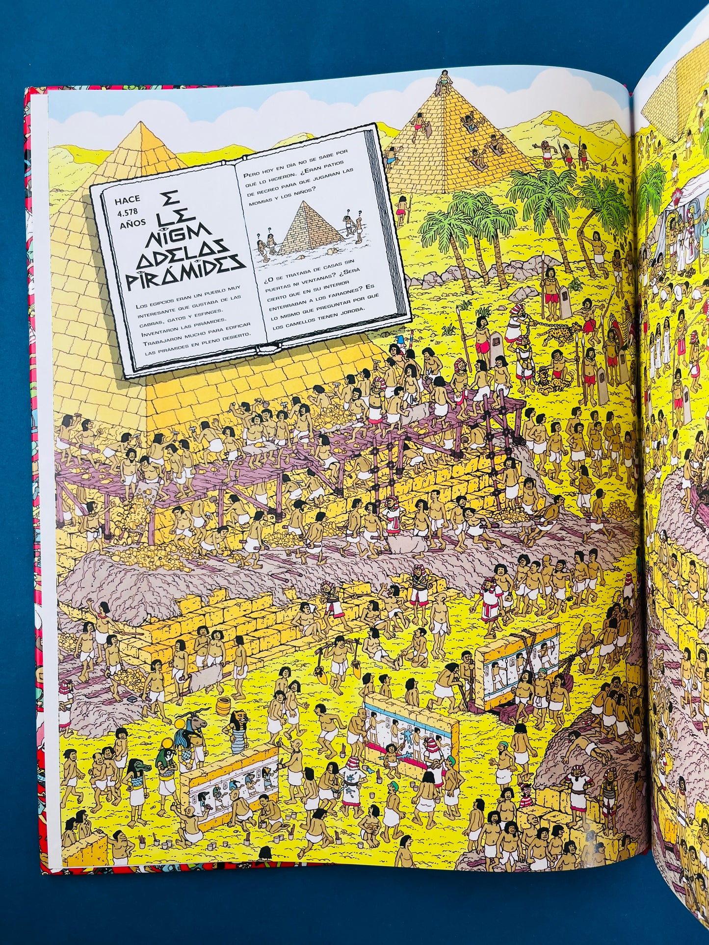 ¿Dónde está Wally ahora?
