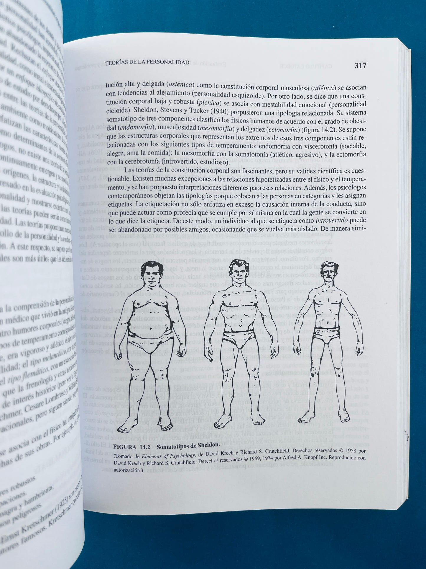 Tests psicológicos y evaluación undécima edición