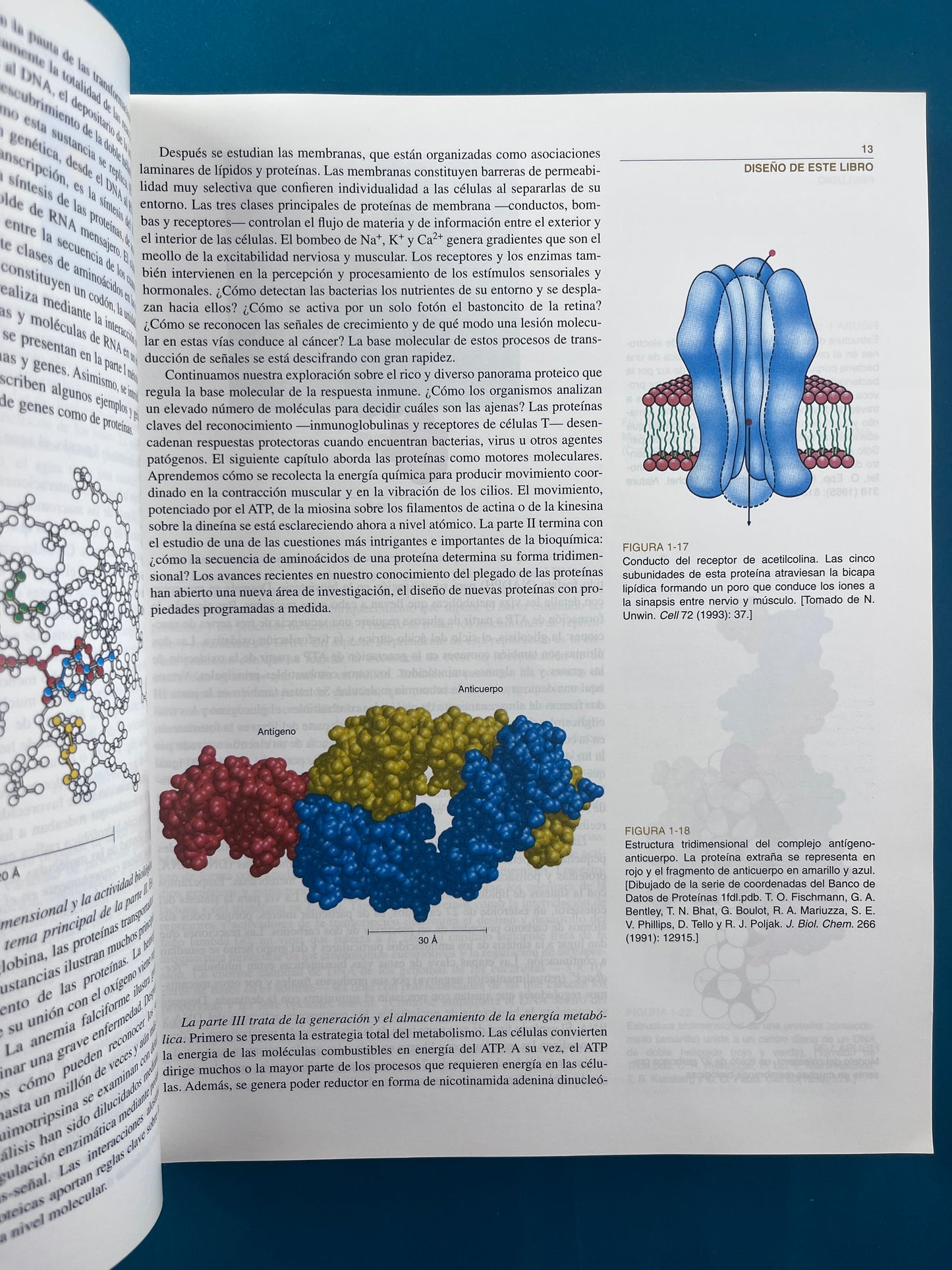Bioquímica dos tomos cuarta edición