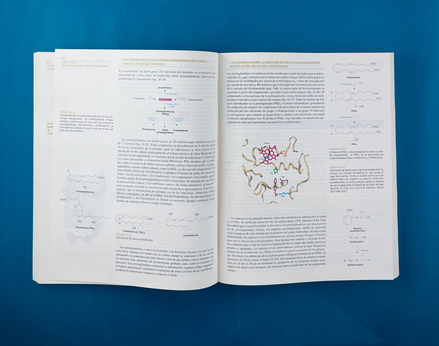 Bioquímica dos tomos cuarta edición