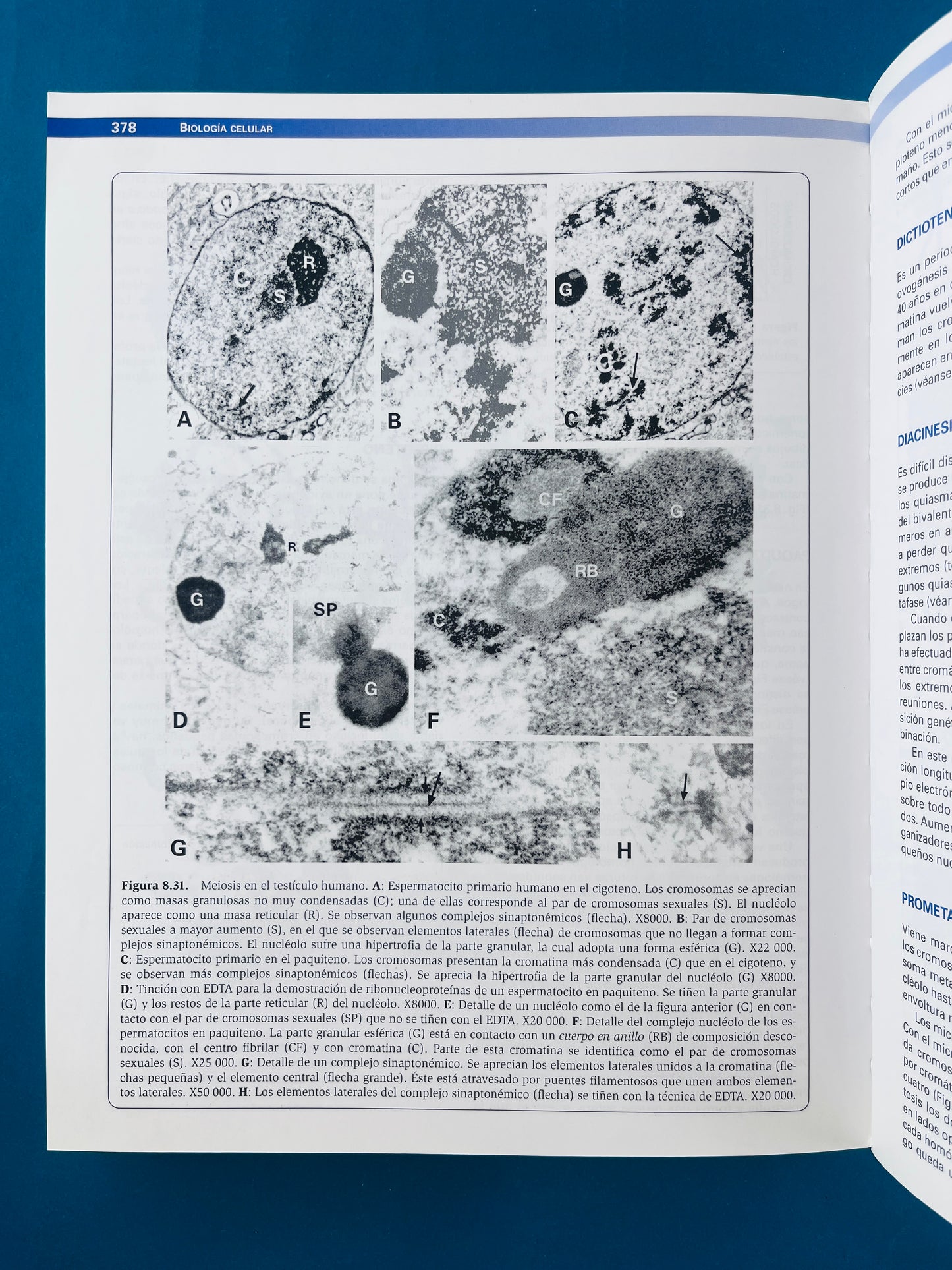 Citología e Histología Vegetal y Animal cuarta edición 2 tomos