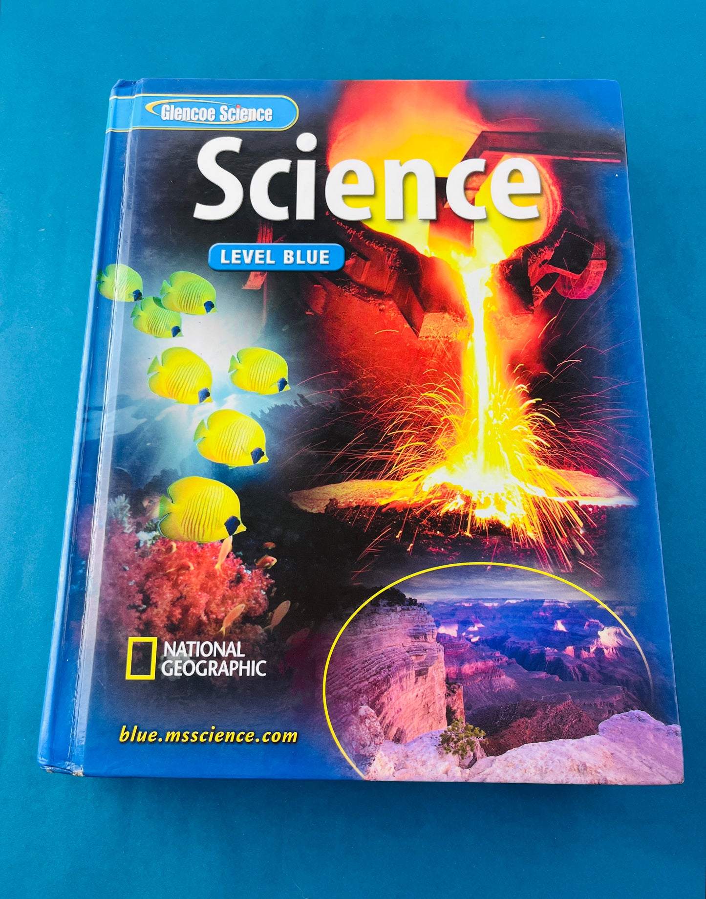 Glencoe sciencie level blue