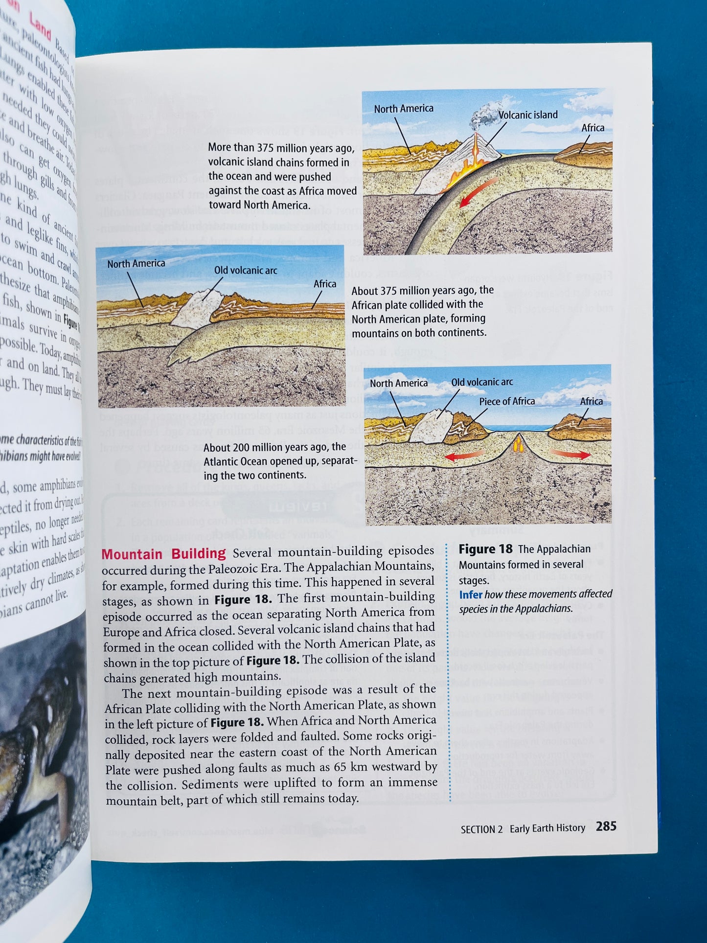 Glencoe sciencie level blue