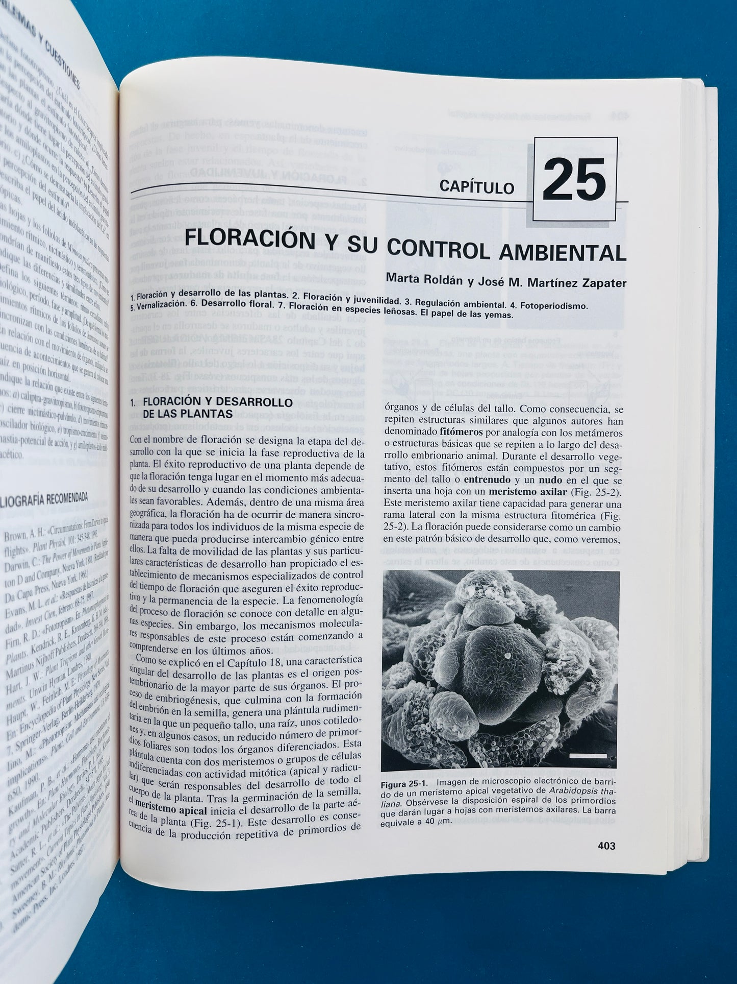 Fundamentos de fisiología vegetal