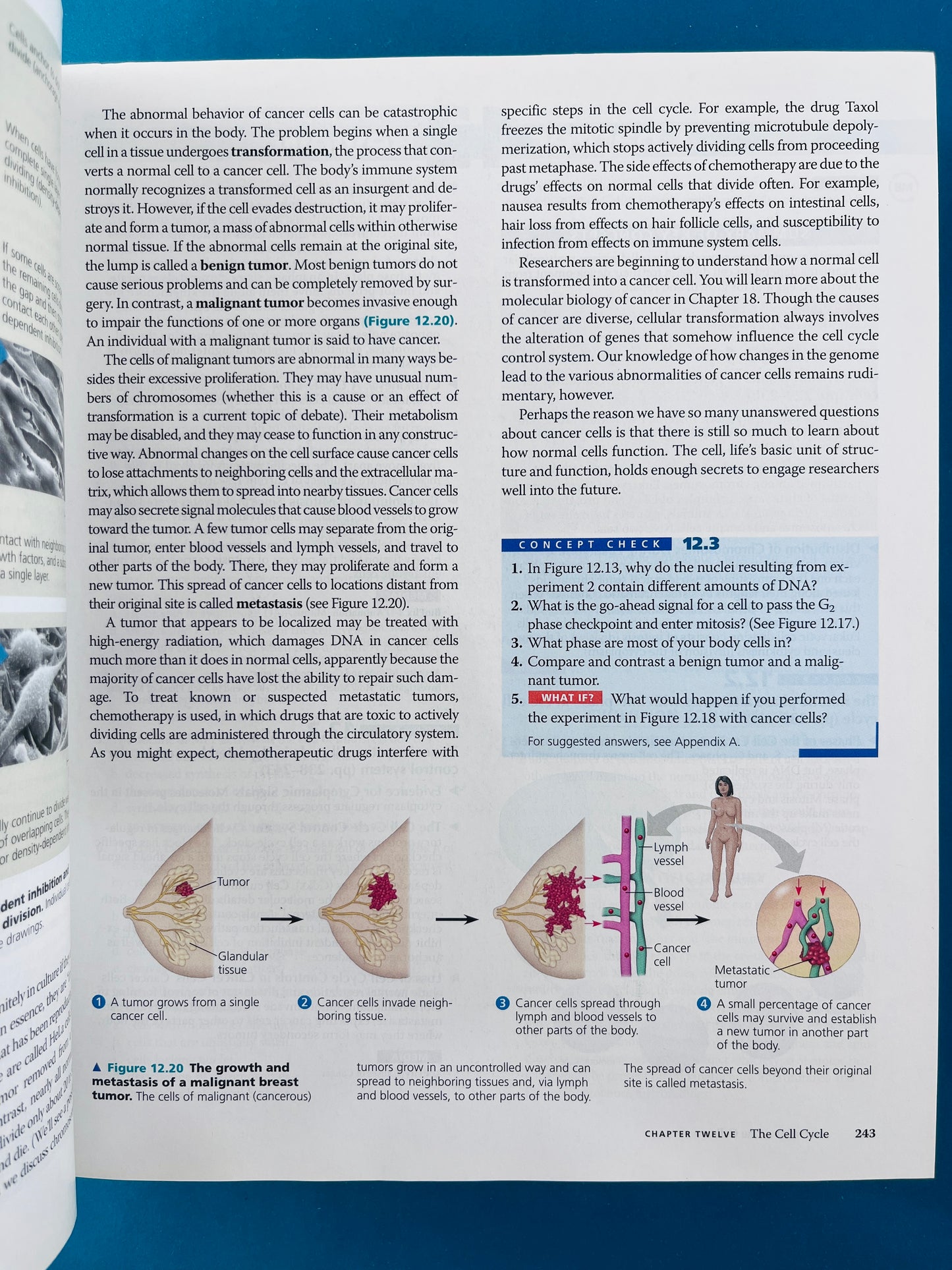 Biology eighth edition