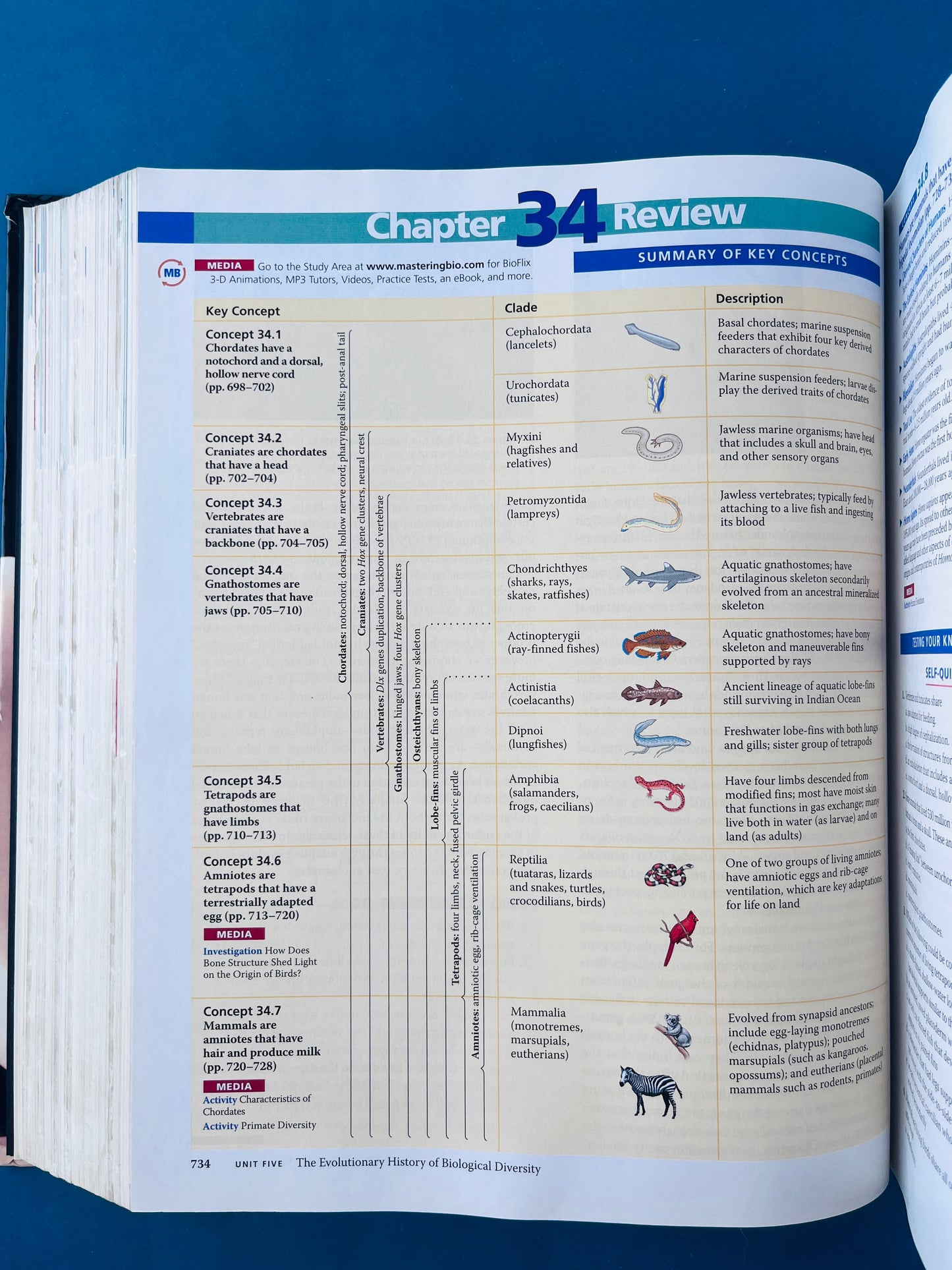 Biology eighth edition