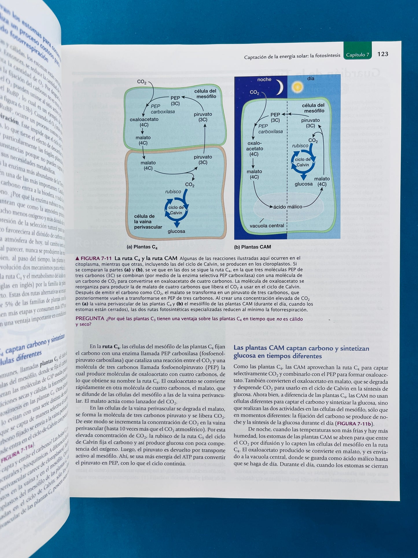 Biología la vida en la tierra con fisiología novena edición