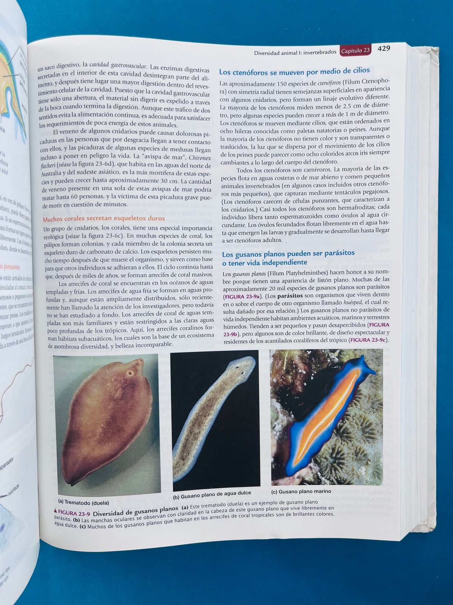 Biología la vida en la tierra con fisiología novena edición