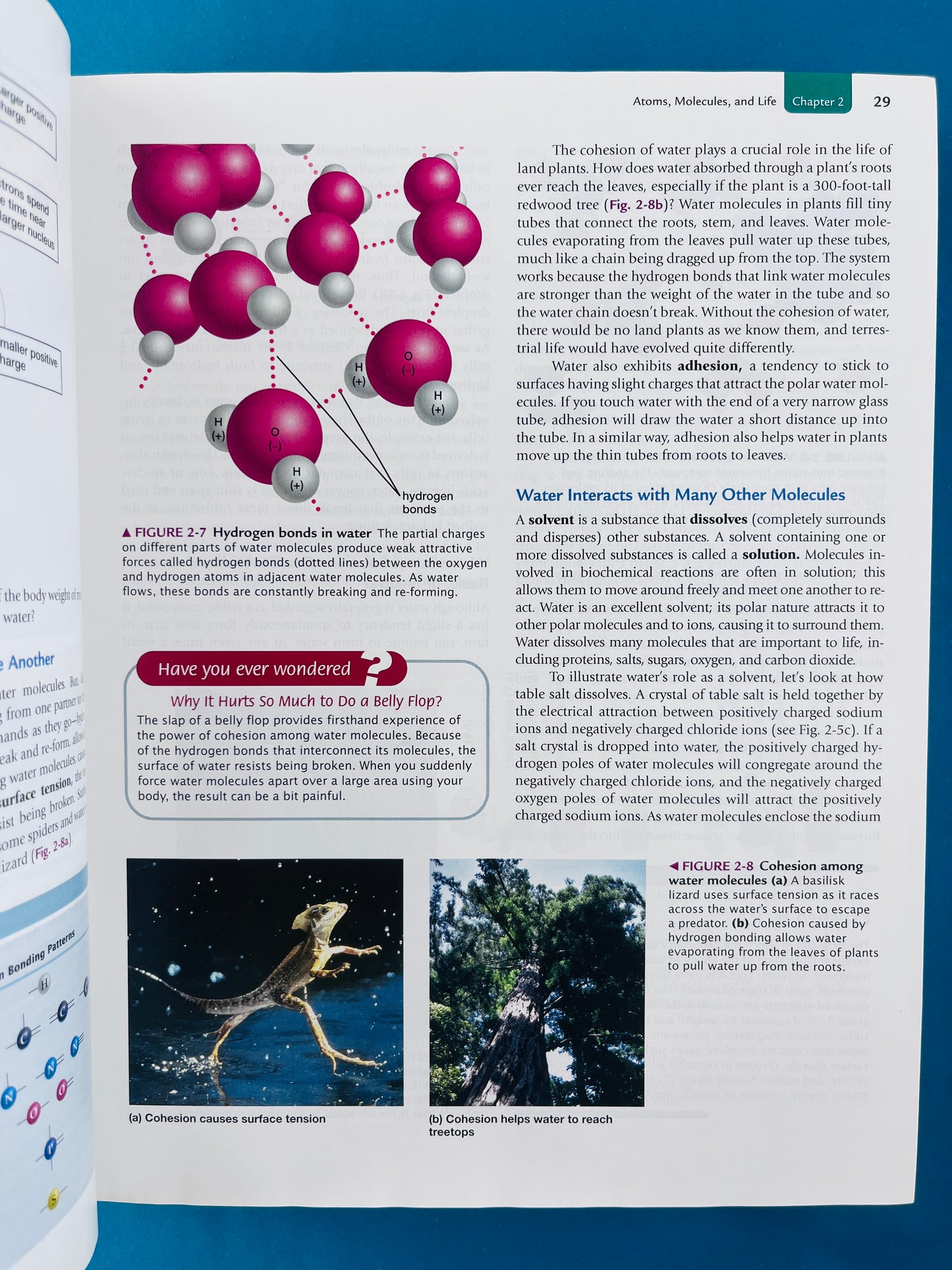 Biology life on earth with physiology ninth edition