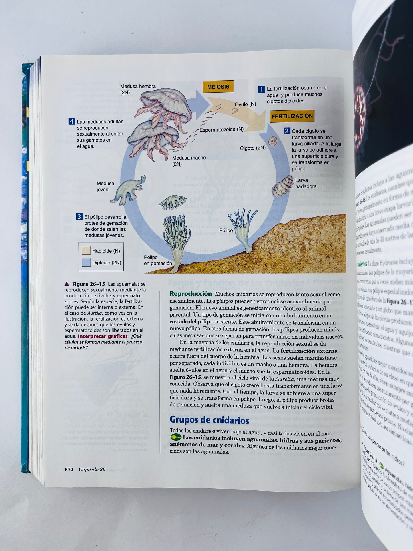 Biología