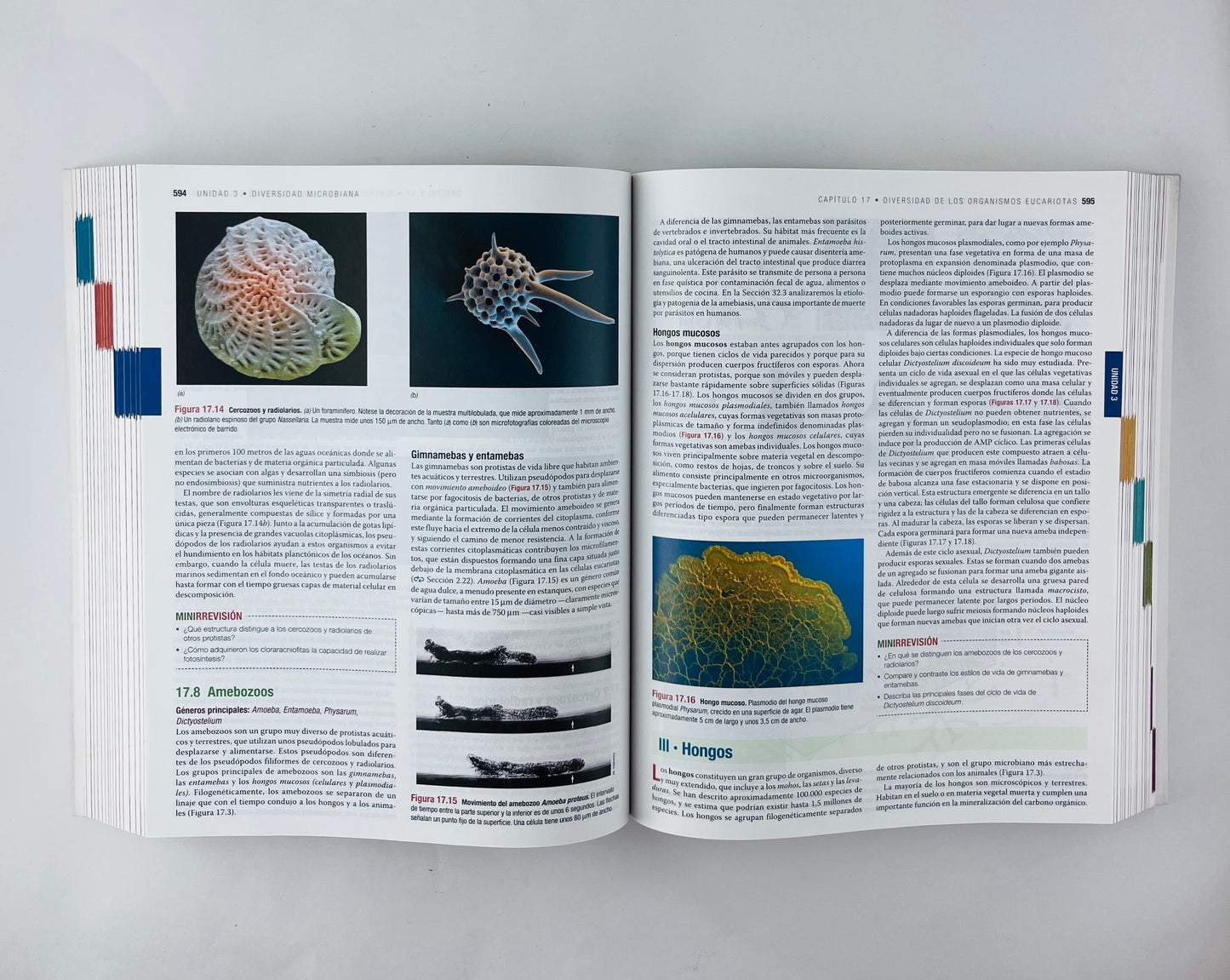 Biología de los microorganismos 14 edición