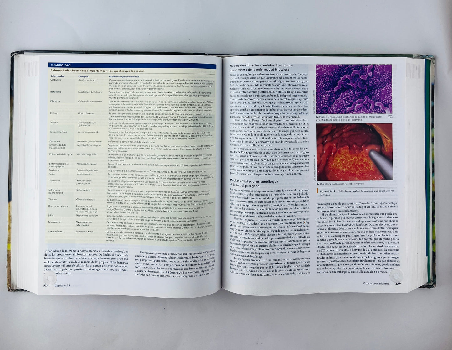 Biologia octava edicíón