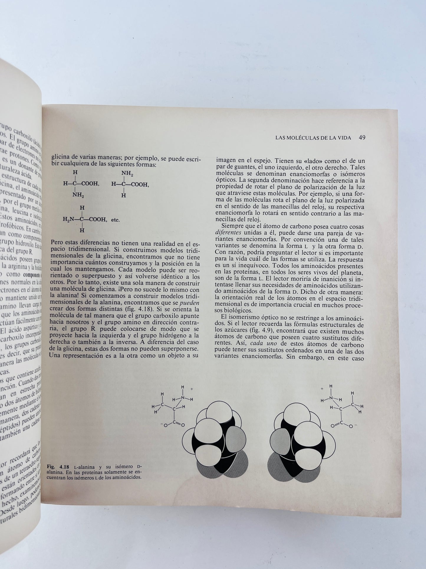 Biología cuarta edición