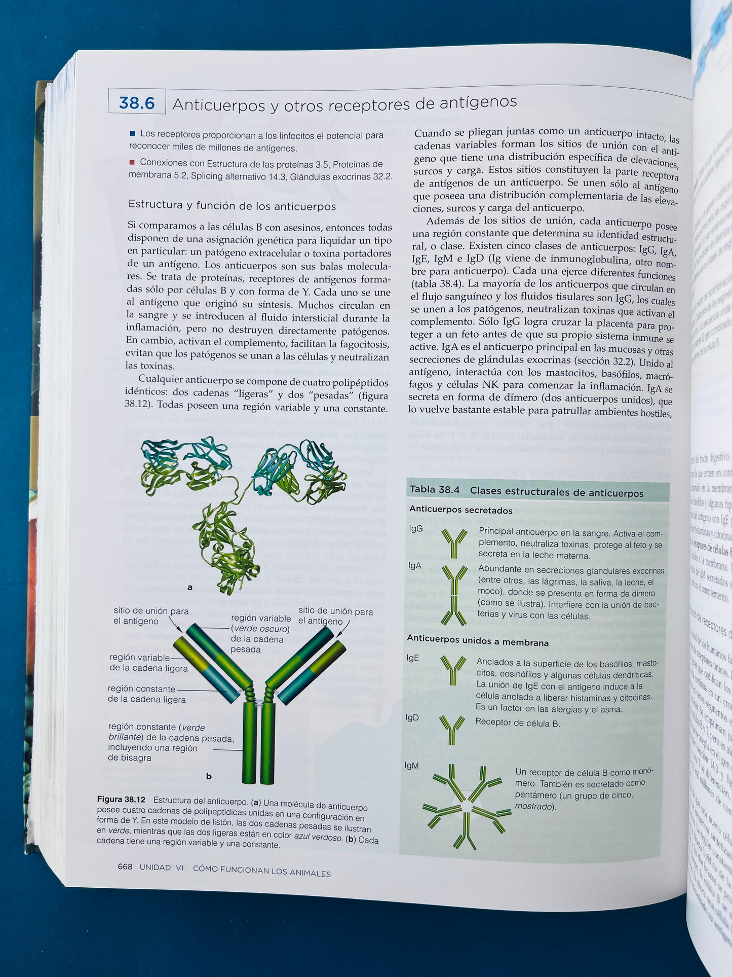 Biología la unidad y la diversidad de la vida 12a edición