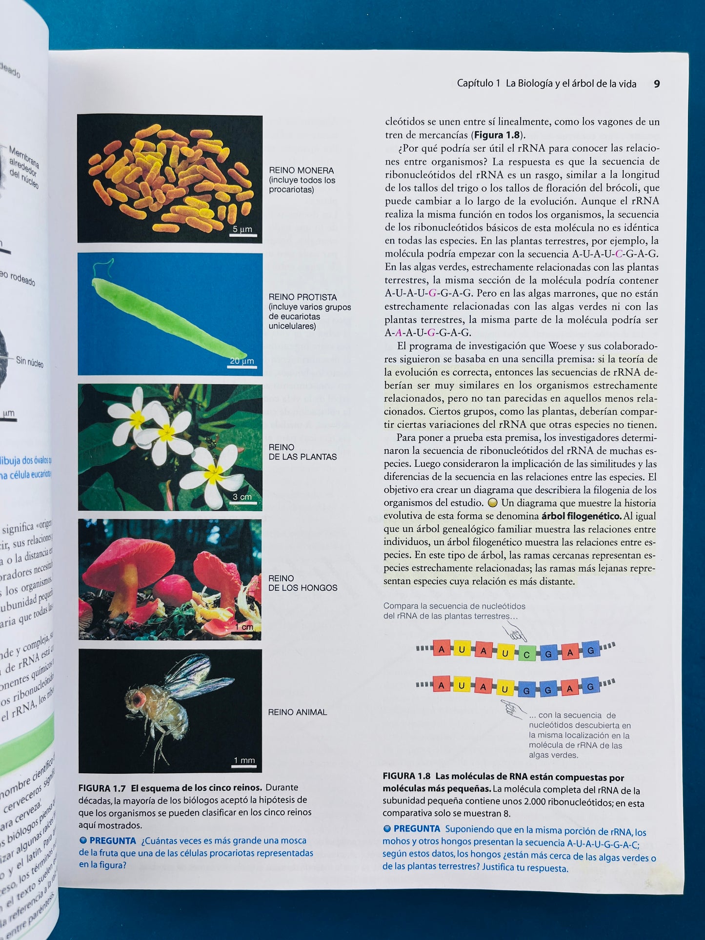 Fundamentos de biología tercera edición