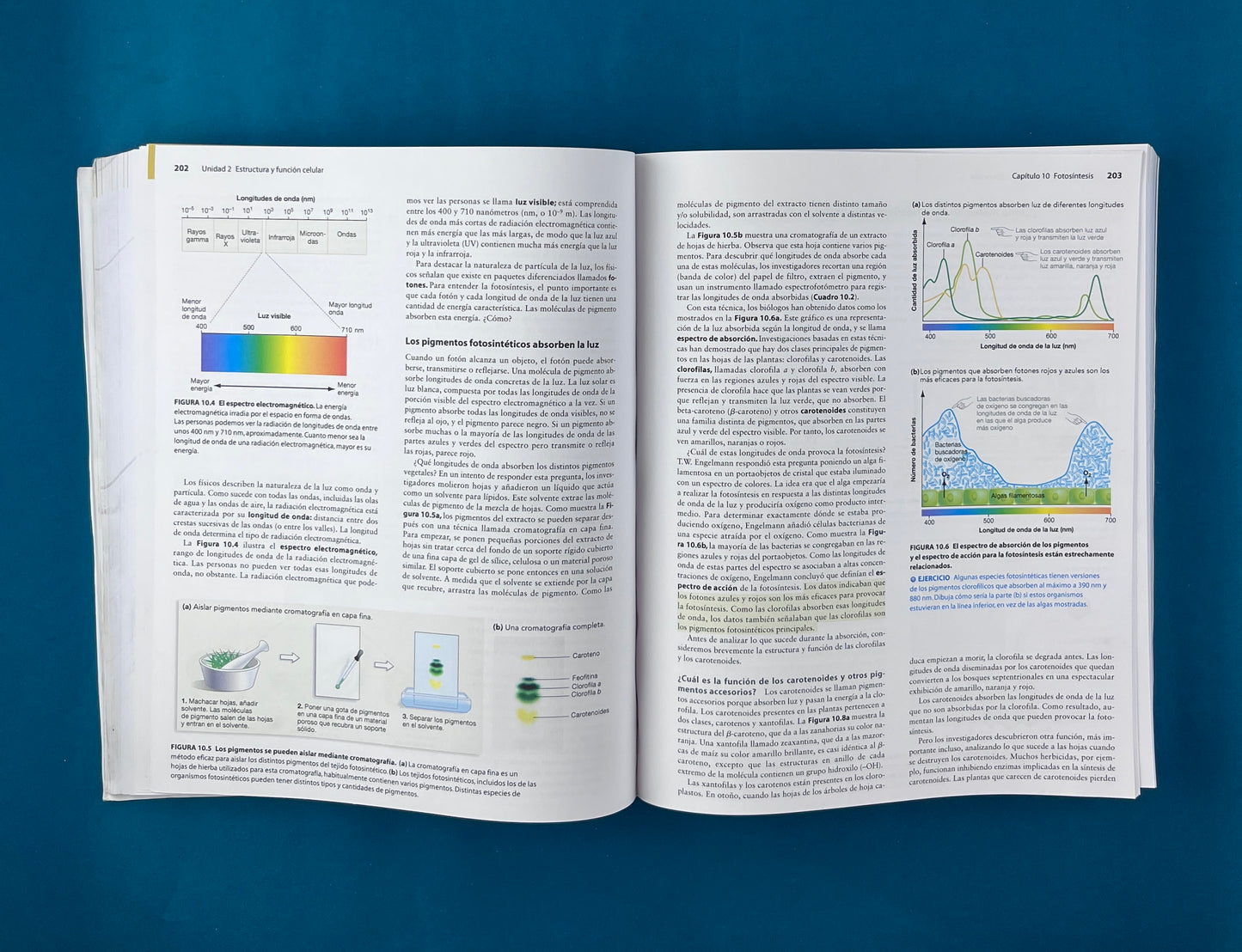 Fundamentos de biología tercera edición