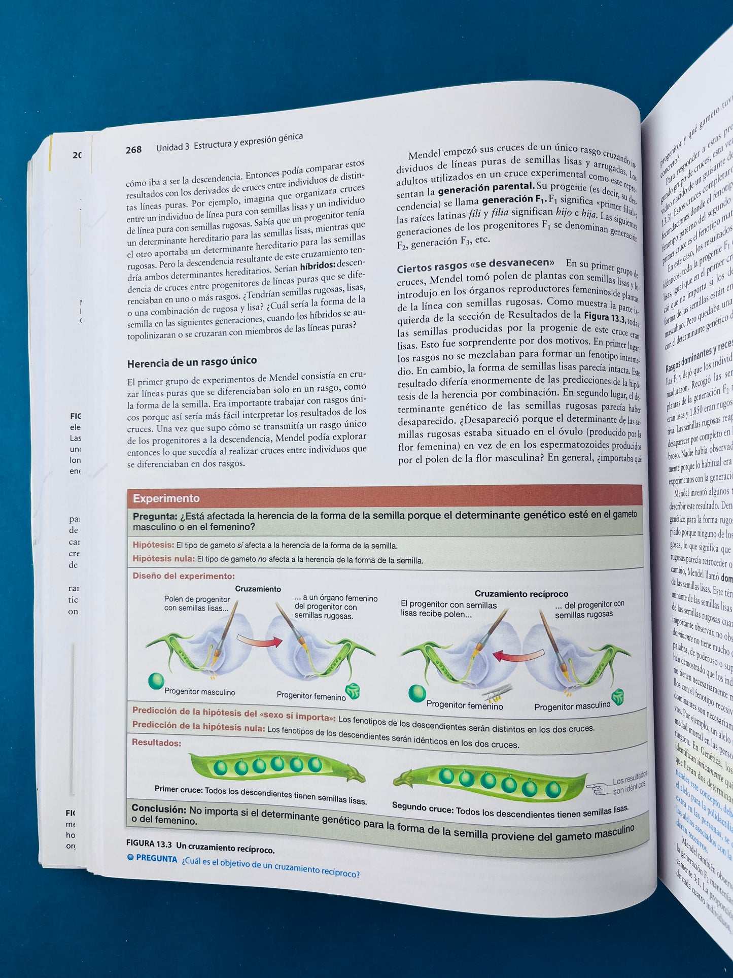 Fundamentos de biología tercera edición