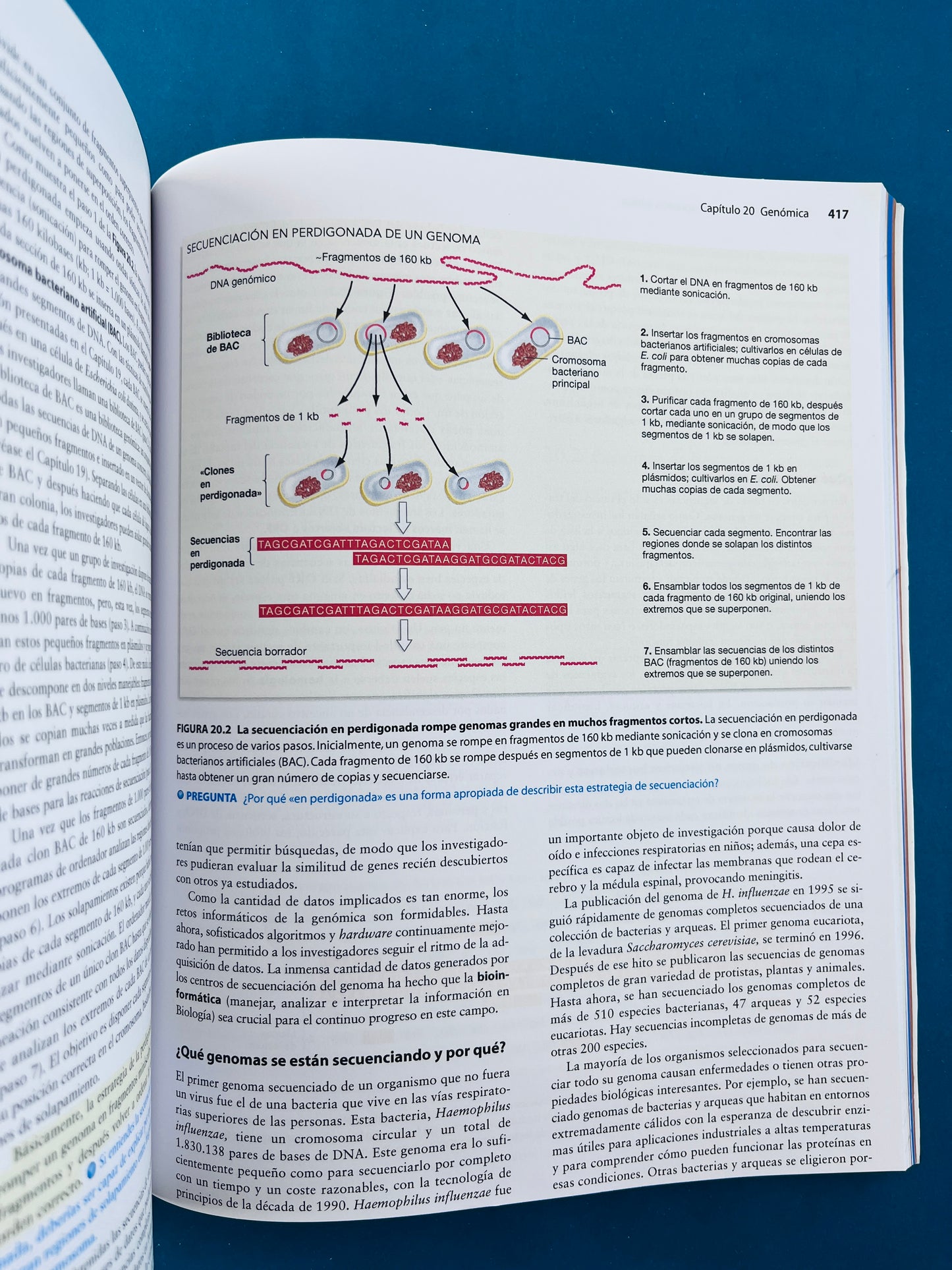 Fundamentos de biología tercera edición