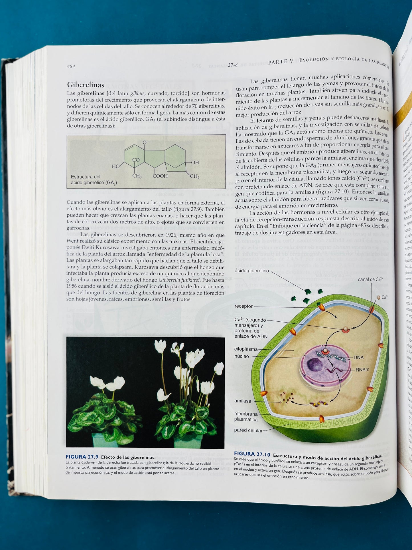 Biología novena edición