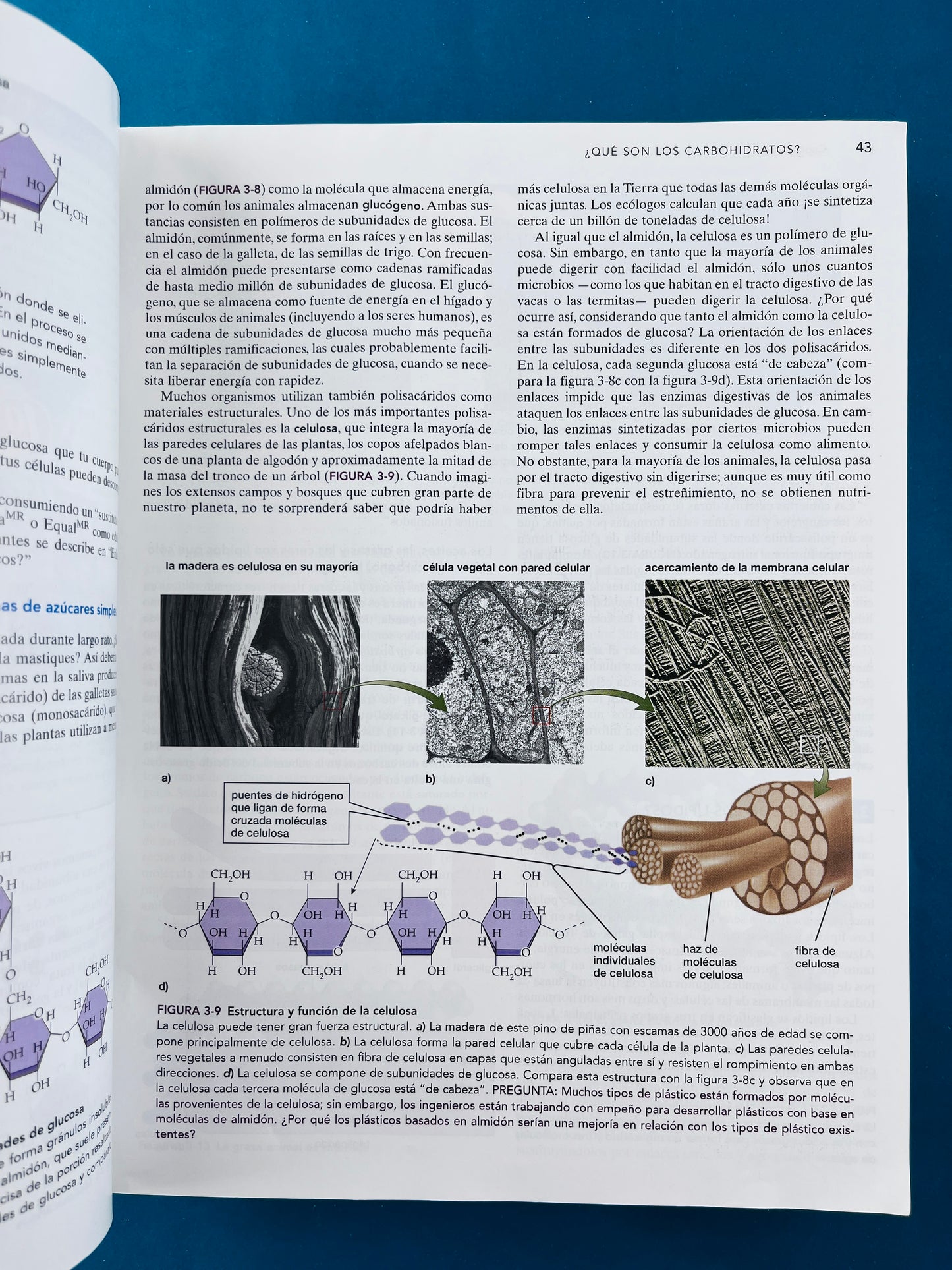 Biología la vida en la tierra octava edición