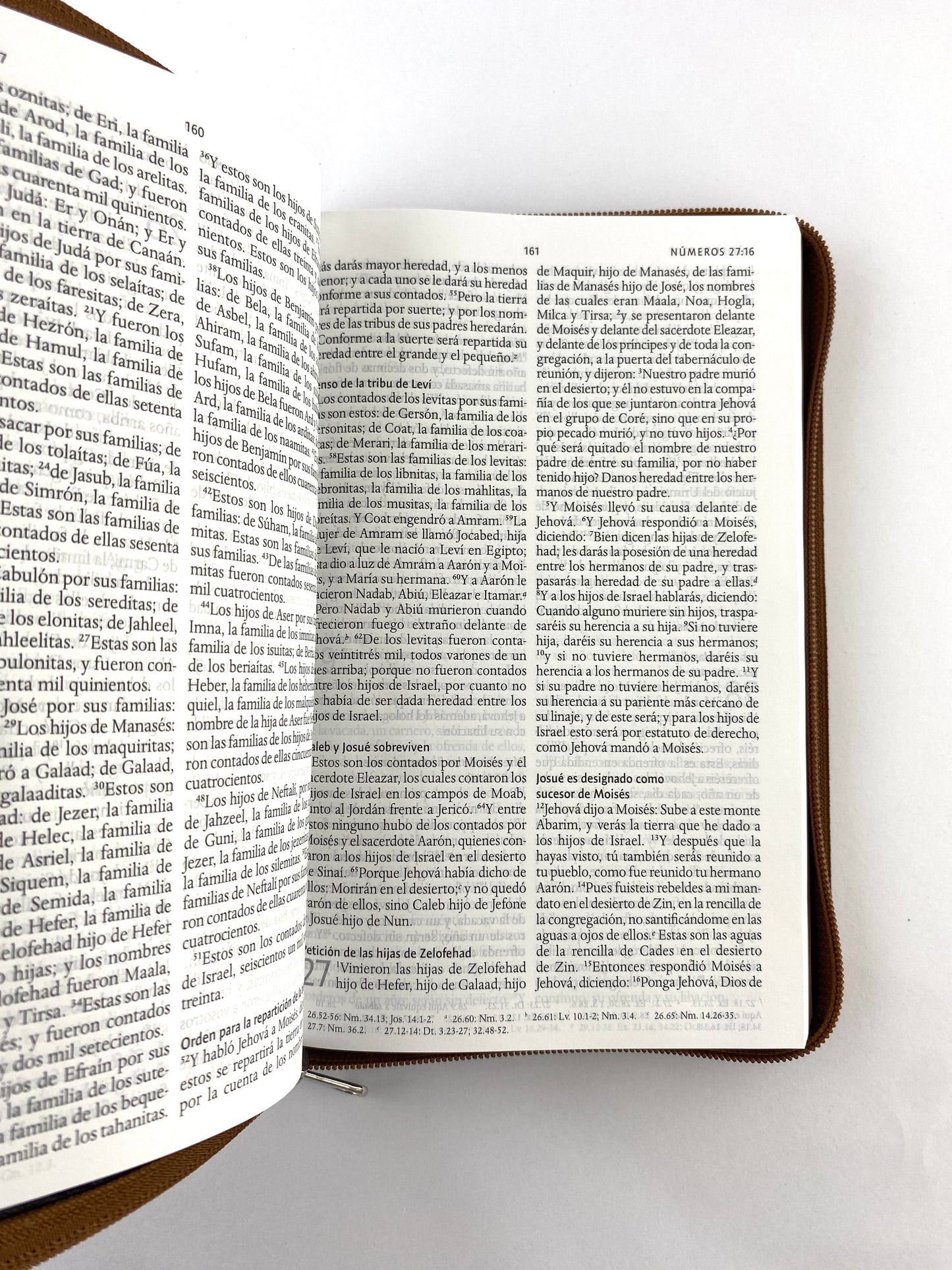 Biblia rvr 1960 letra grande estuche café/combinado